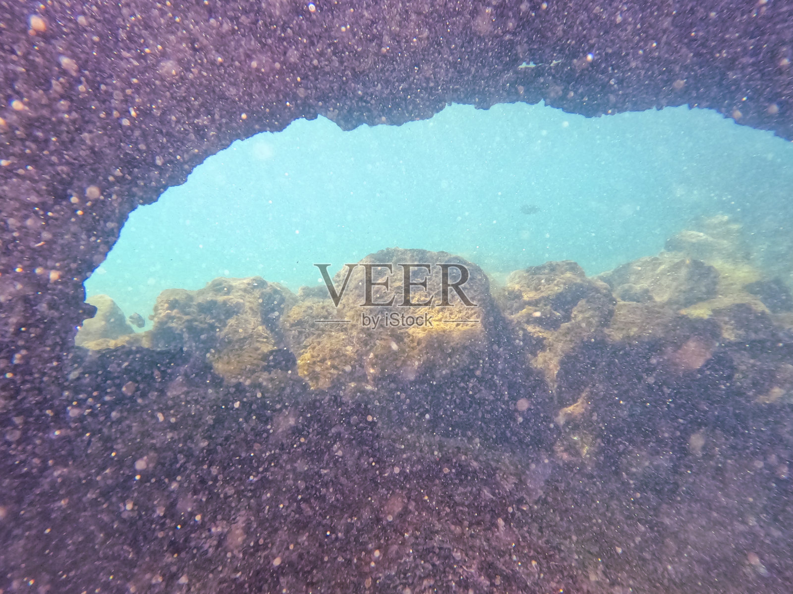 加拉帕戈斯群岛伊莎贝拉隧道之旅照片摄影图片