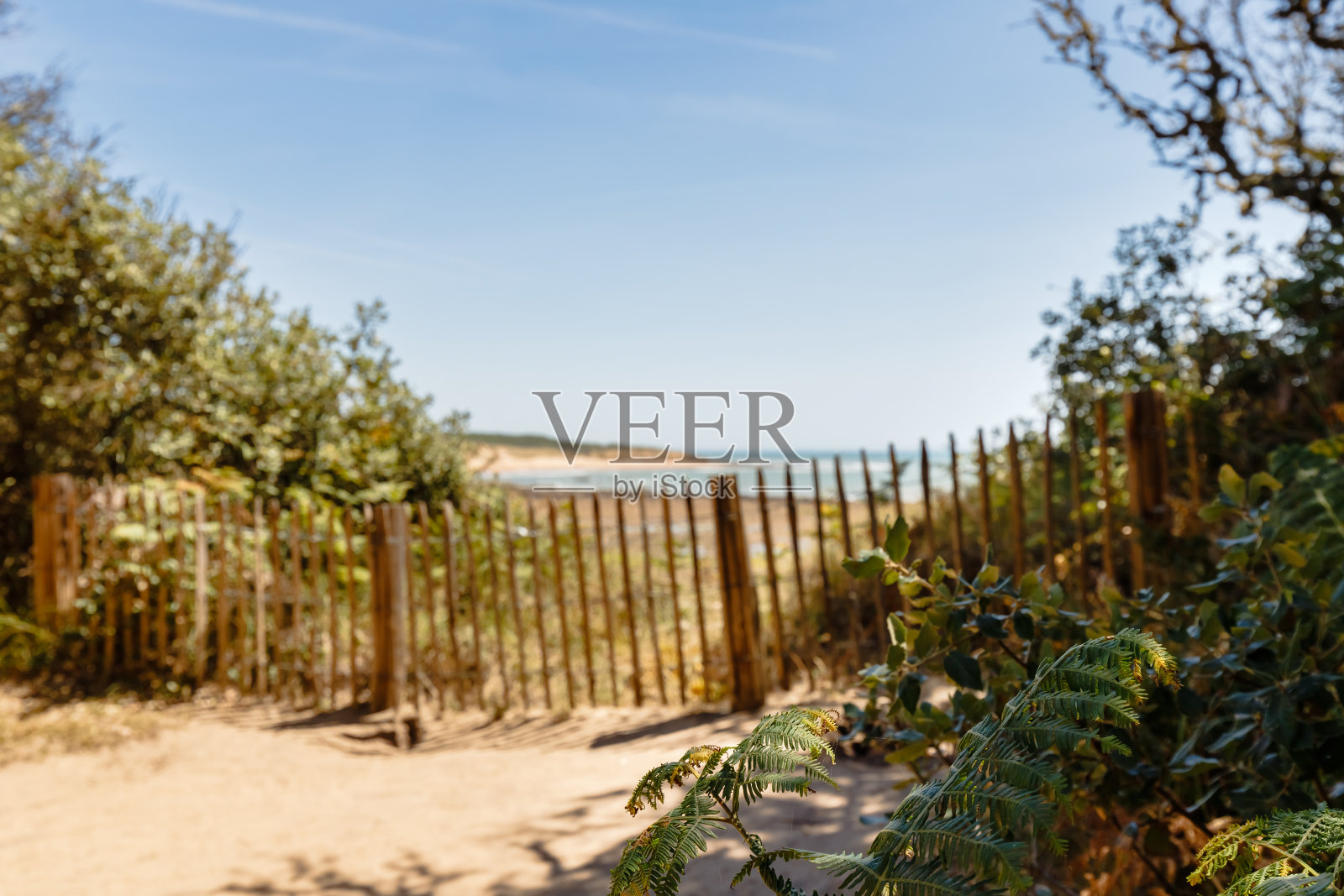 法国滨海峡湾的La Mine海滩照片摄影图片