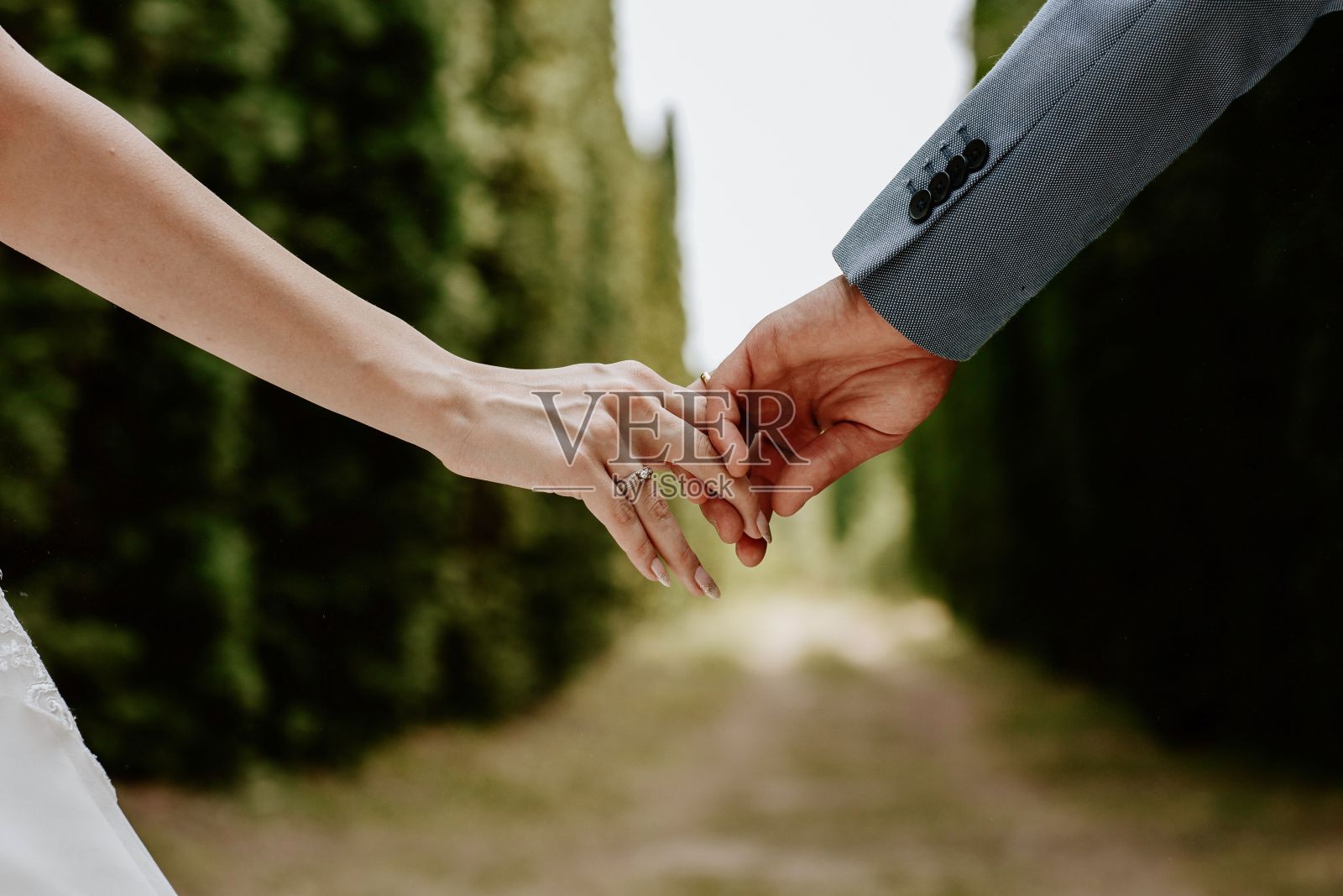 幸福的新婚夫妇手牵手沿着风景如画的花园小径散步。照片摄影图片