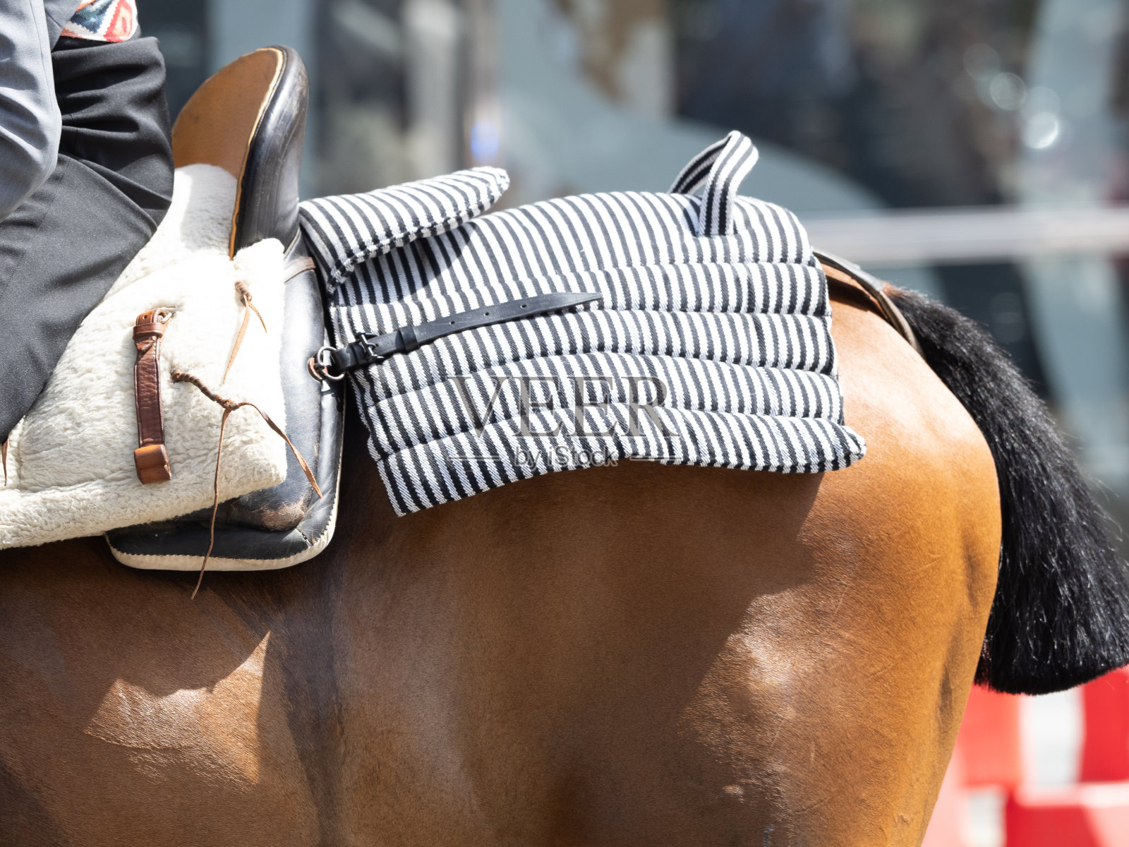 当骑手骑在马背上时,马鞍的臀部的细节照片摄影图片