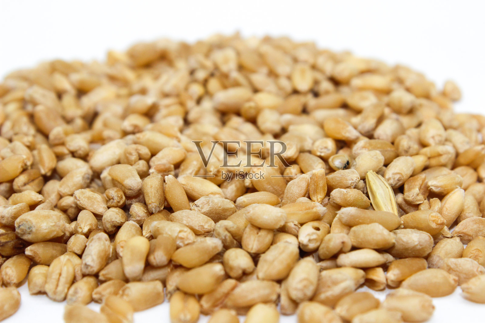 小麦种子选择性聚焦图像照片摄影图片