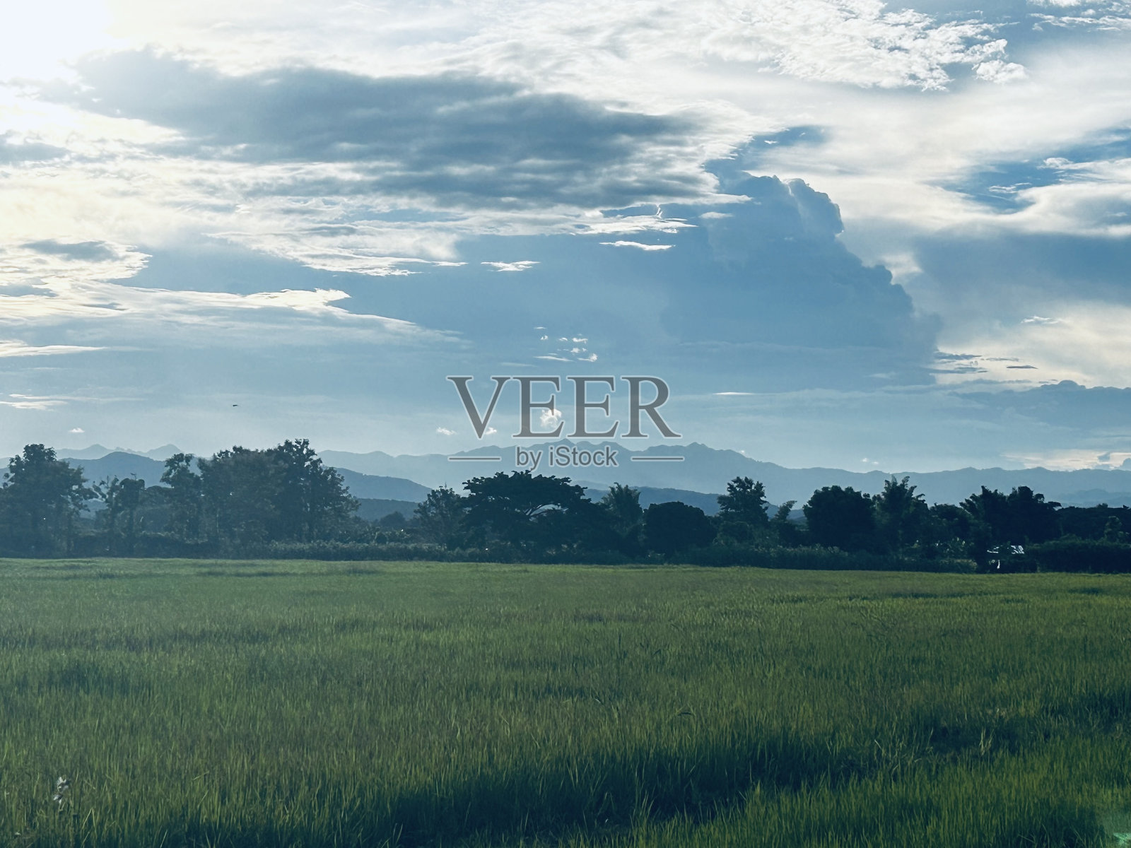 泰国北部傍晚的自然风光照片摄影图片