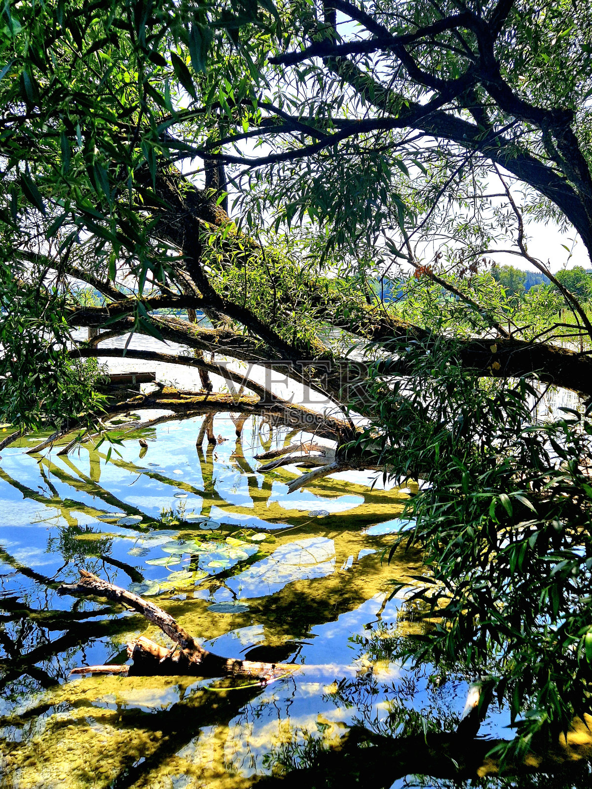 在腾陵附近的塔青湖照片摄影图片