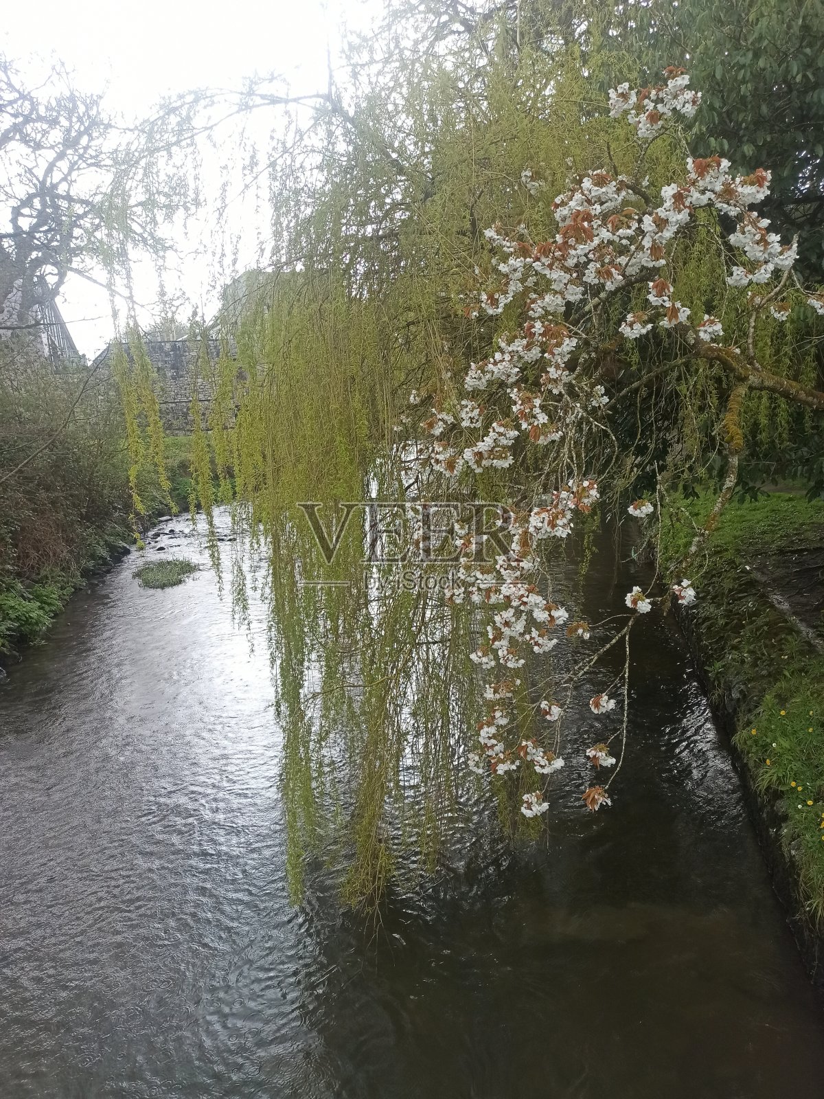 河上的景色照片摄影图片