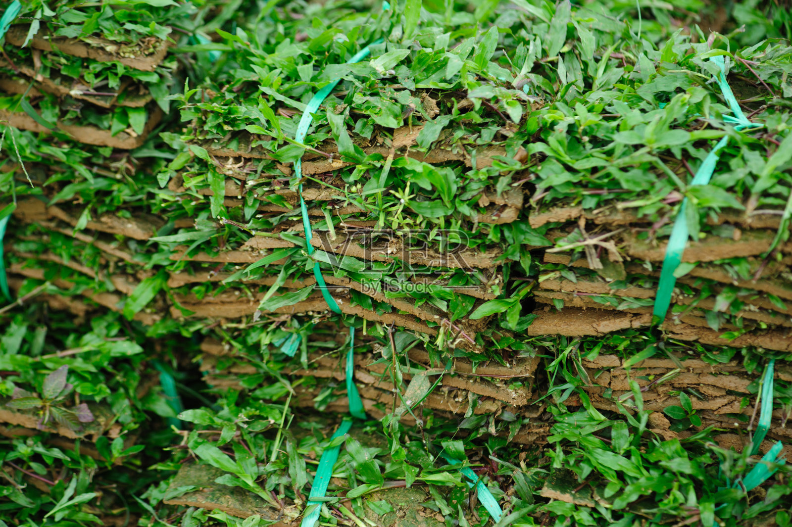 一堆草皮出售照片摄影图片