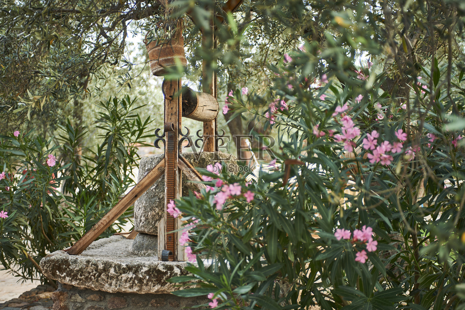 石头和木头的井水在森林里。照片摄影图片