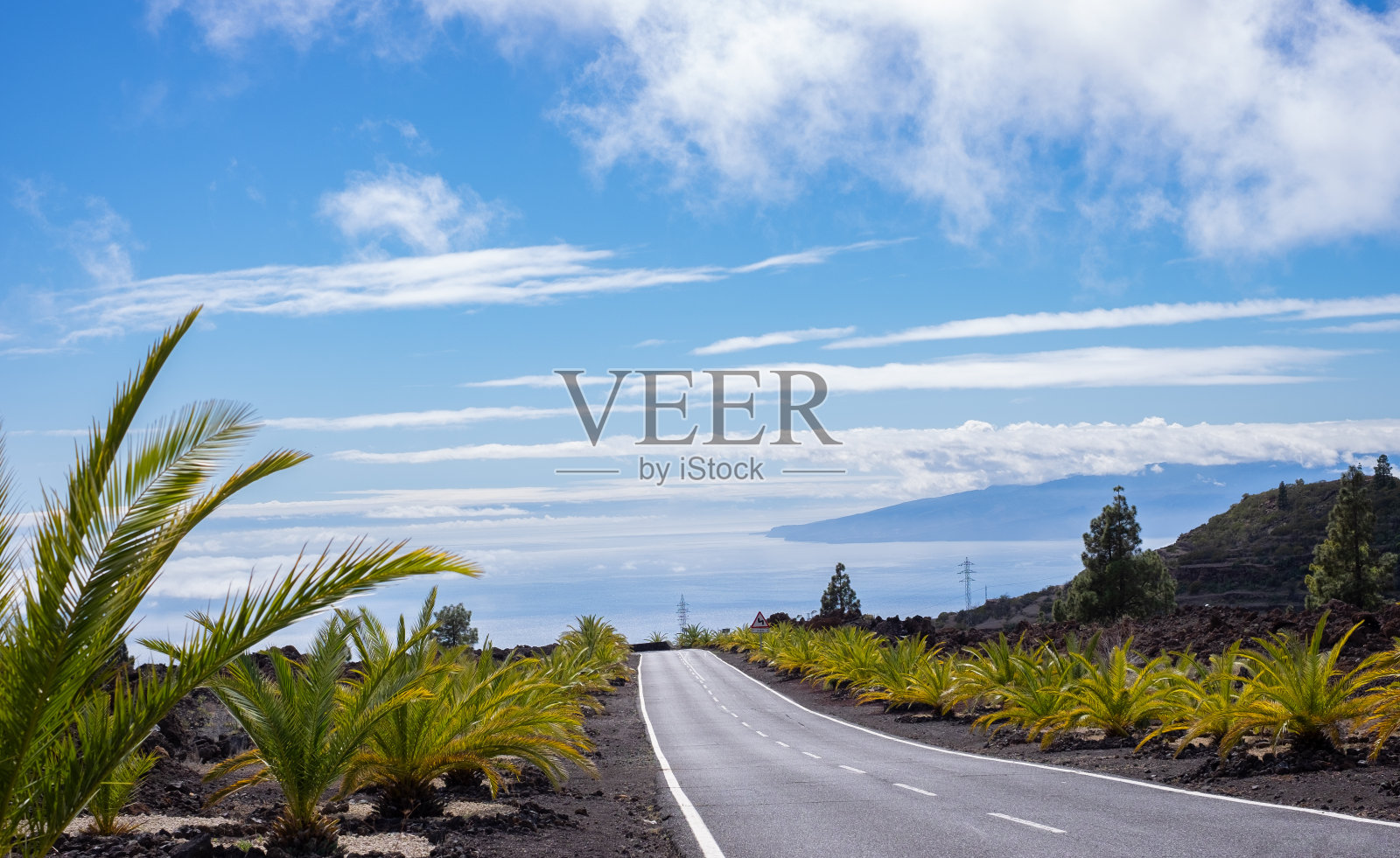 加那利群岛特内里费岛火山景观和小棕榈树中间的空旷沥青道路,美丽的海洋和蓝天。照片摄影图片