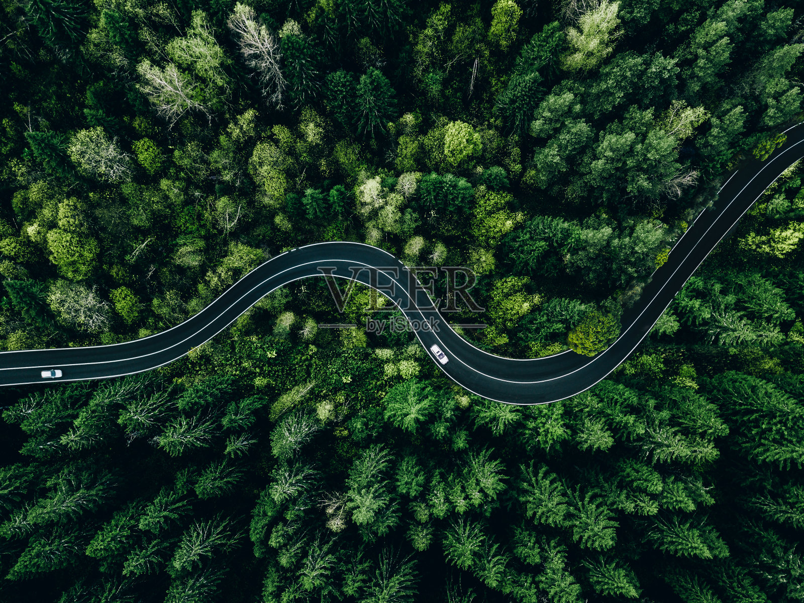 鸟瞰图,弯弯曲曲的道路上,汽车穿过绿色的夏日森林照片摄影图片