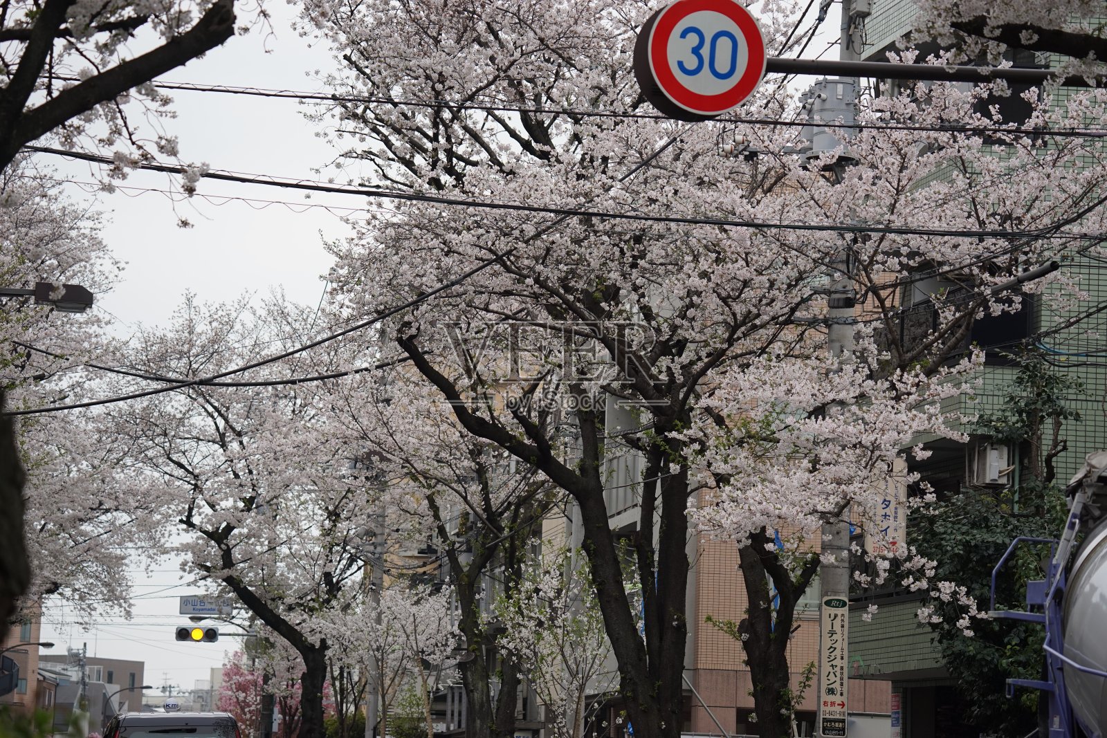 日本樱花街在Kamurozaka照片摄影图片