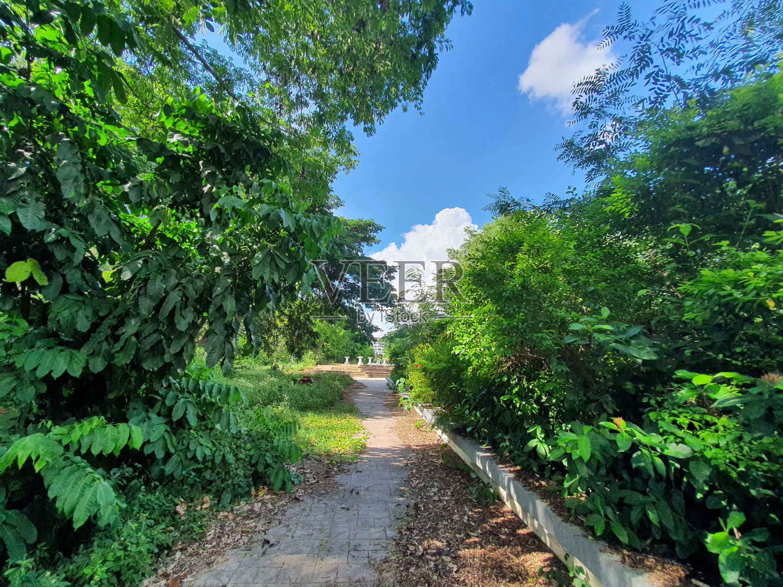 泰国乡村公路照片摄影图片