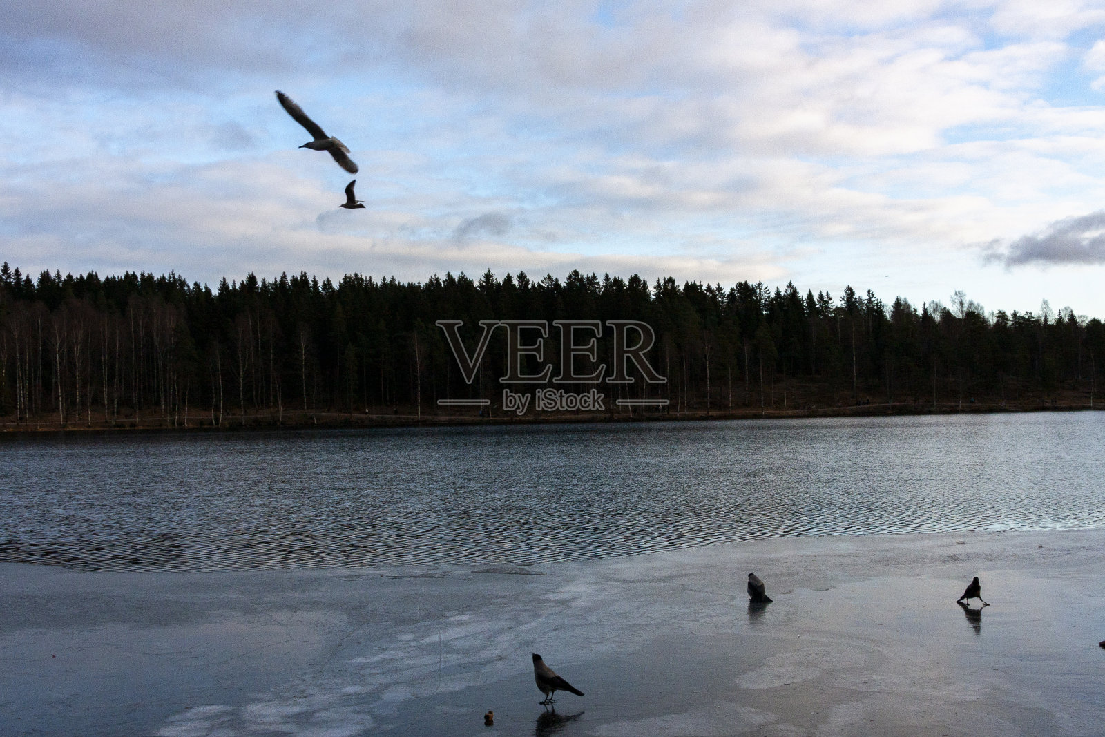 挪威奥斯陆的Sognsvann湖照片摄影图片