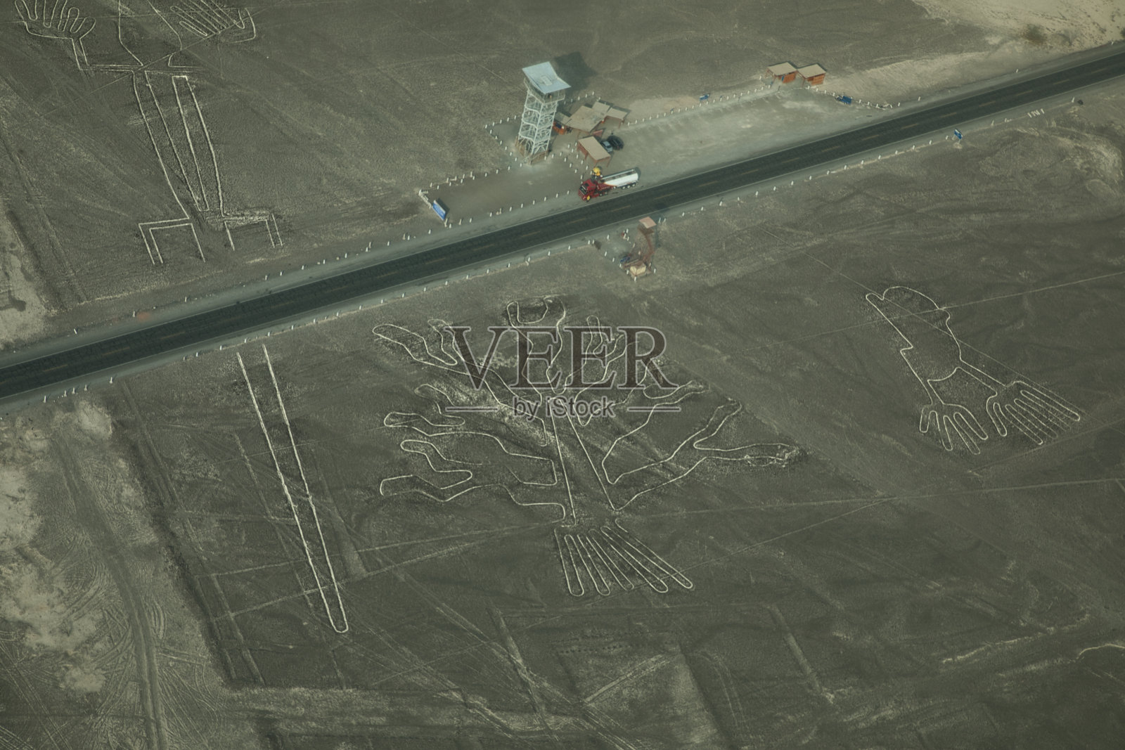 这棵树。的手。纳斯卡线条。秘鲁。照片摄影图片