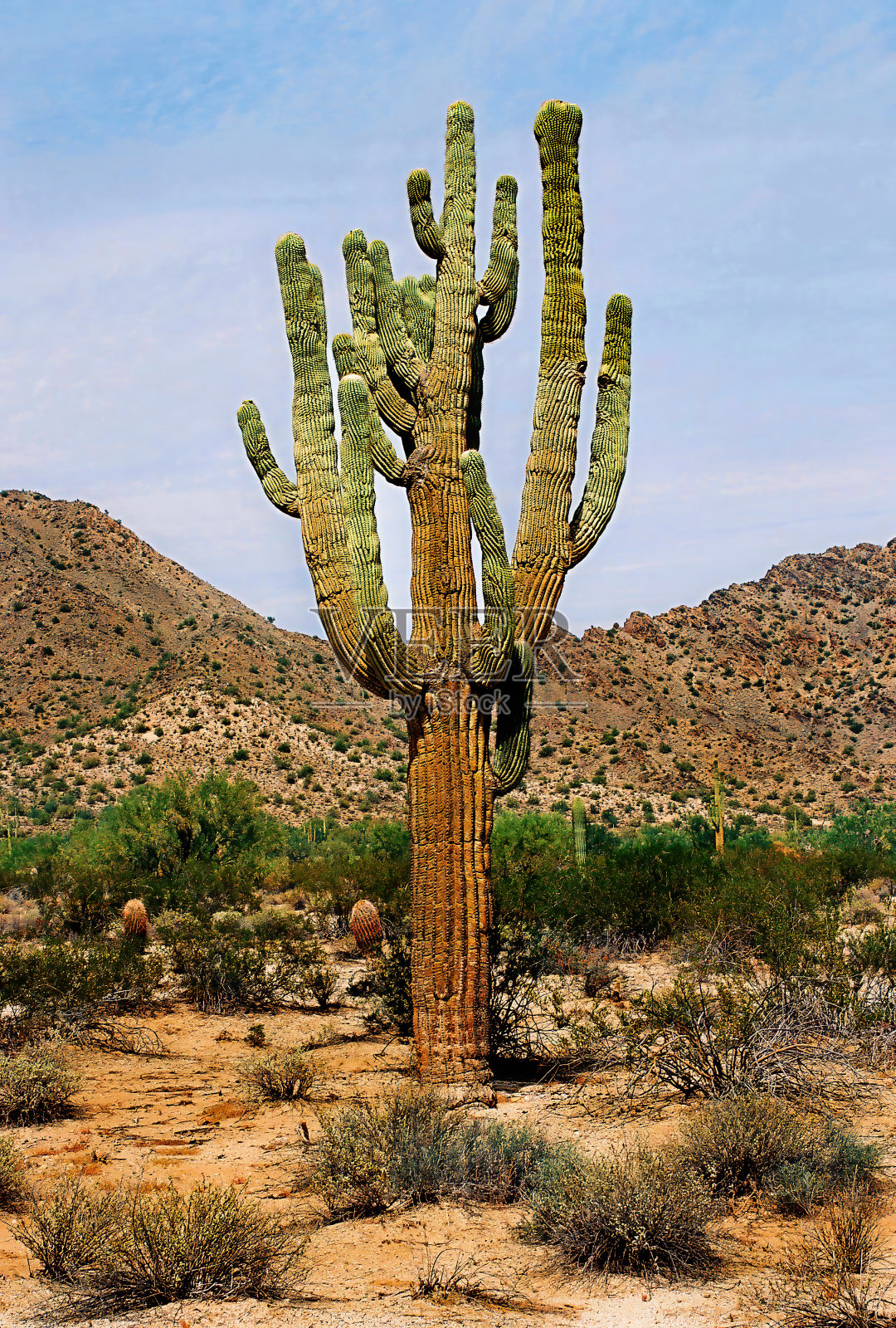 三谭山脉索诺拉沙漠亚利桑那州电影照片摄影图片