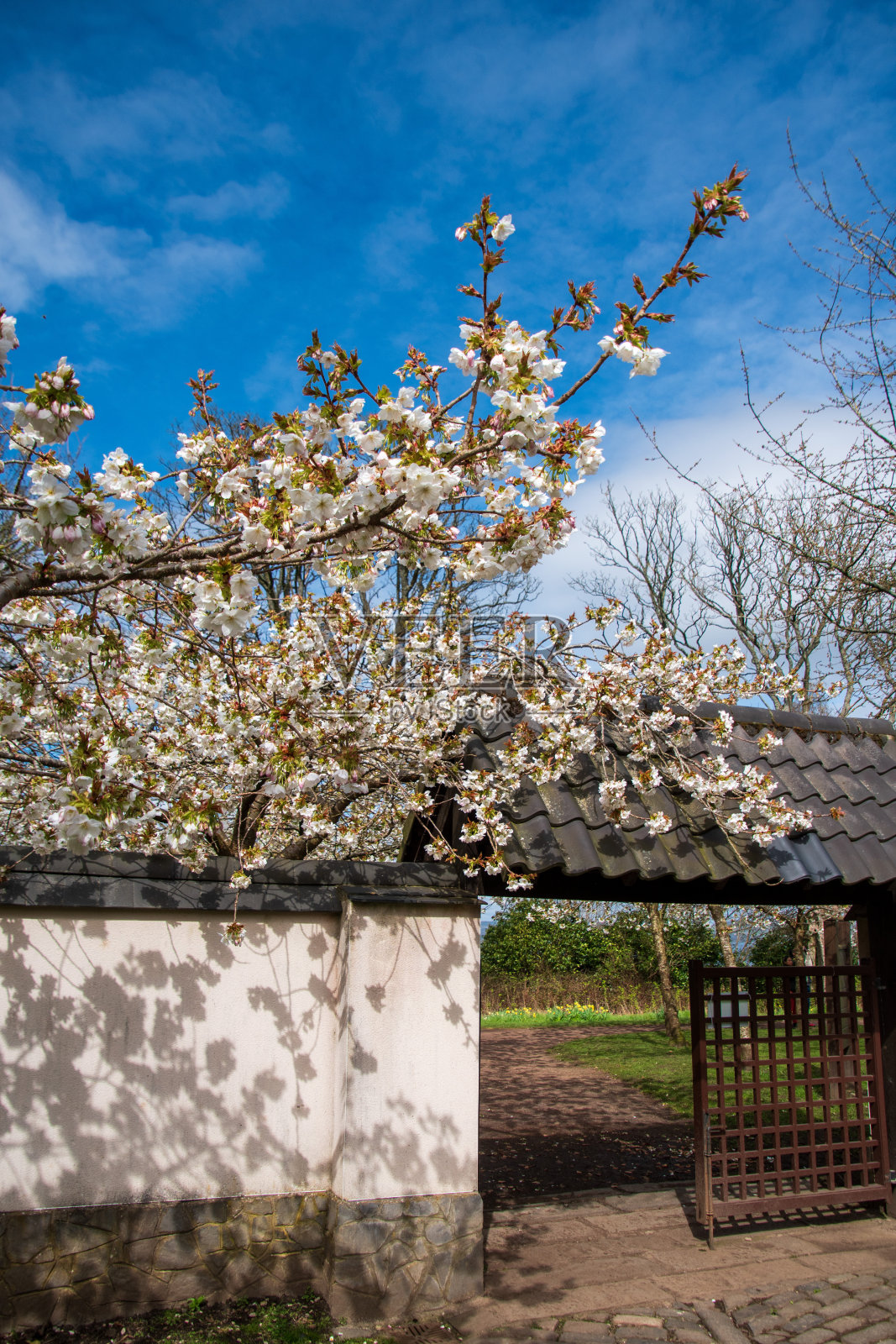 日式花园照片摄影图片