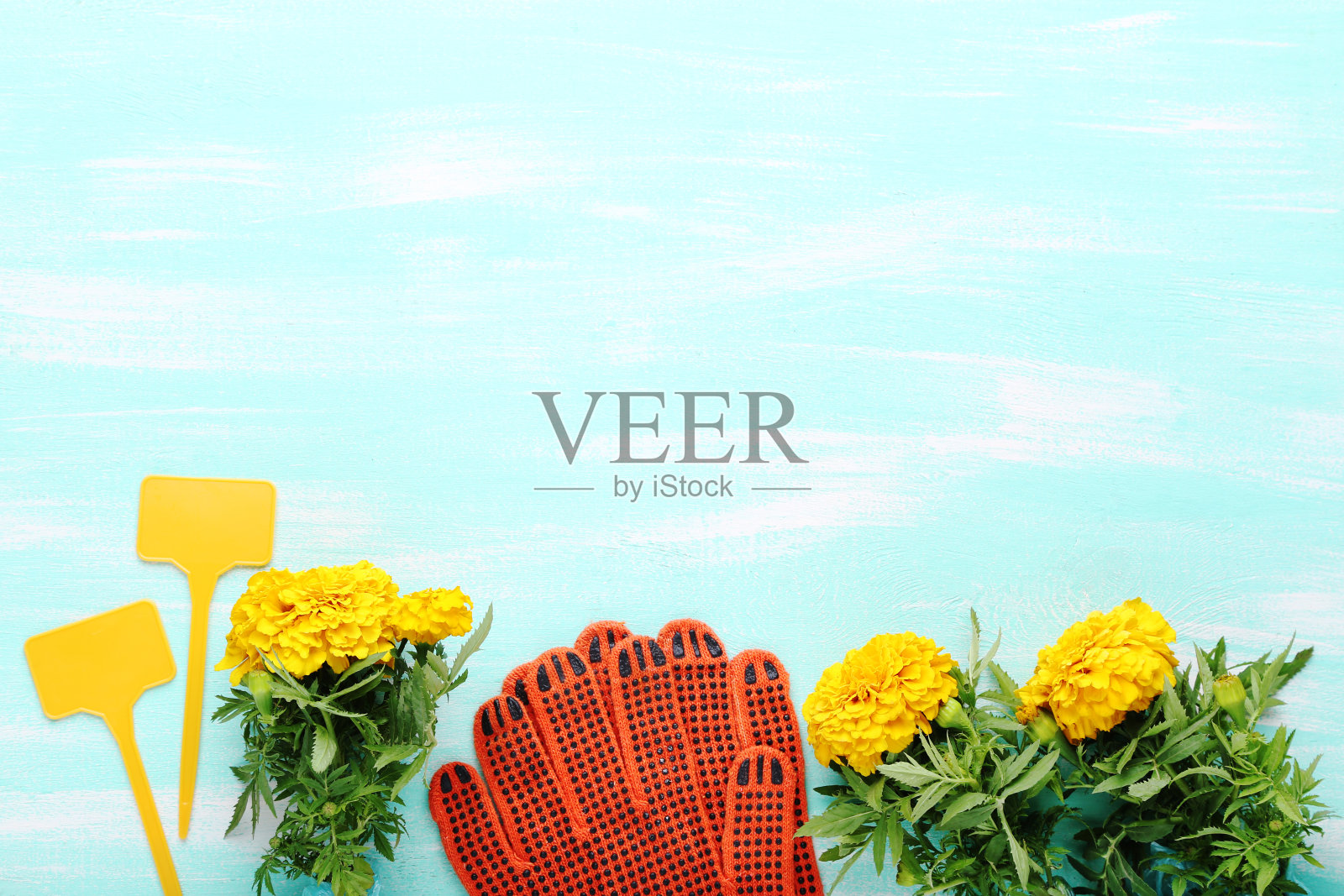 木桌上有带黄花的花园手套照片摄影图片