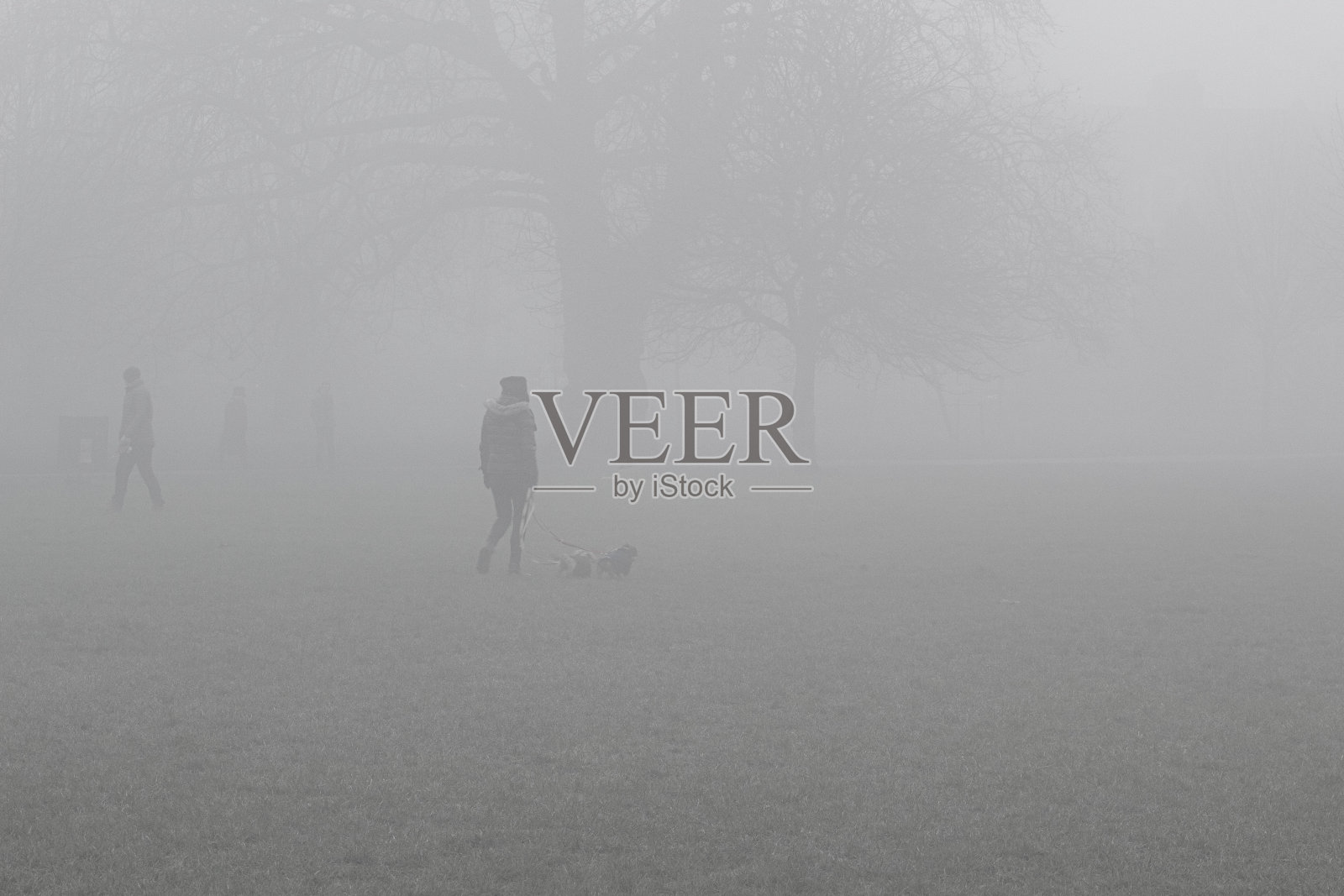 清晨与狗狗在伦敦雾蒙蒙的公园散步照片摄影图片