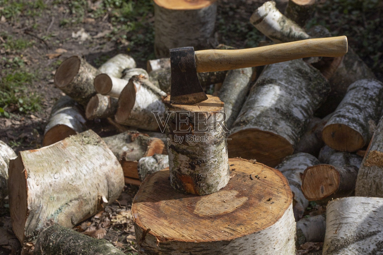劈开桦木原木照片摄影图片