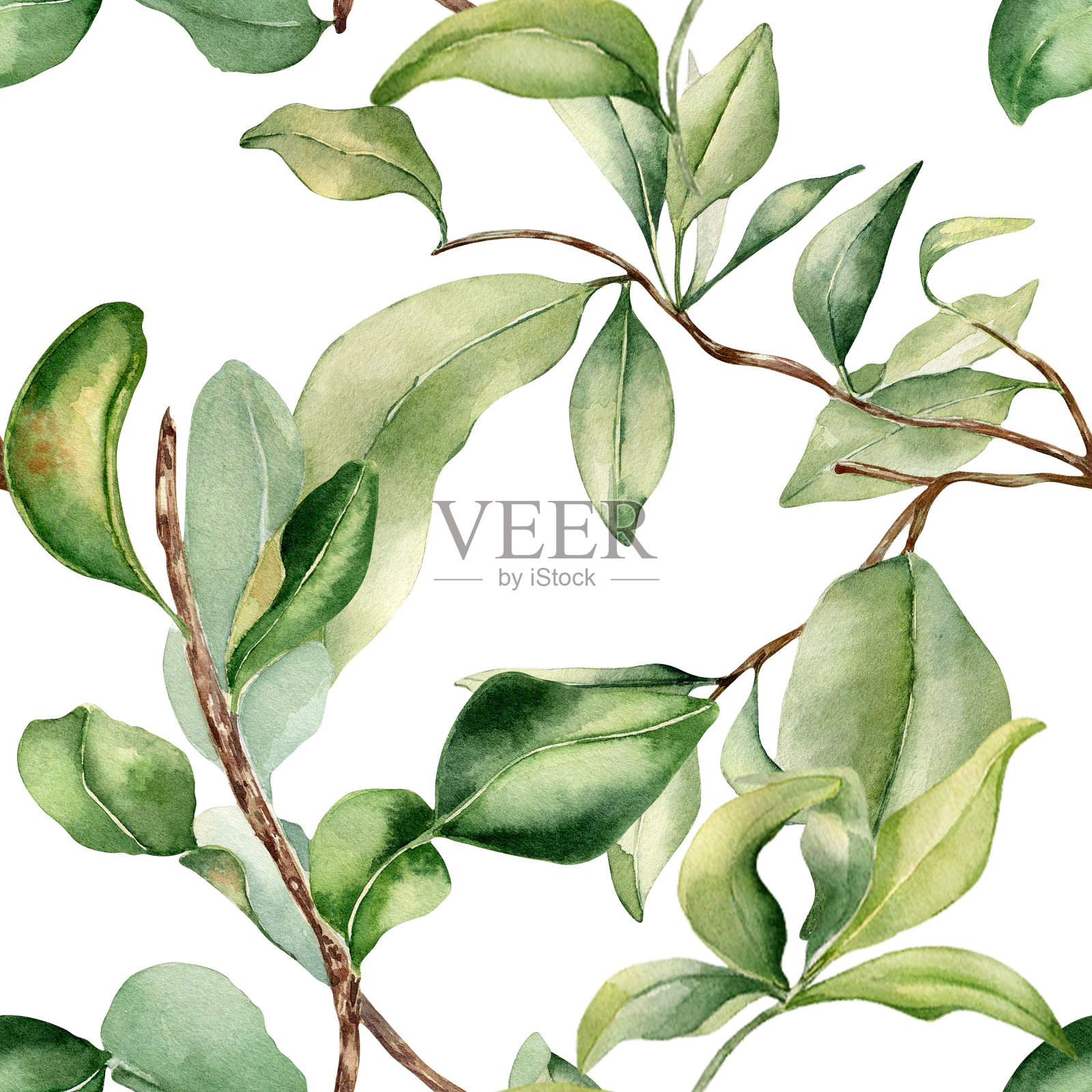 枝叶上的果树水彩无缝图案孤立在白色上。柑橘树的叶子手绘。佛手柑,葡萄柚植物素描风格。印刷用的各色绿叶插画图片素材