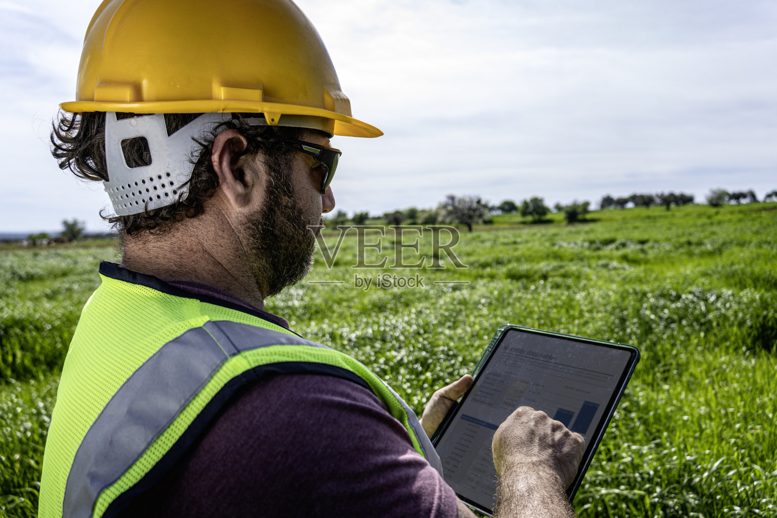 农业工程师在麦田里使用数码平板电脑。照片摄影图片