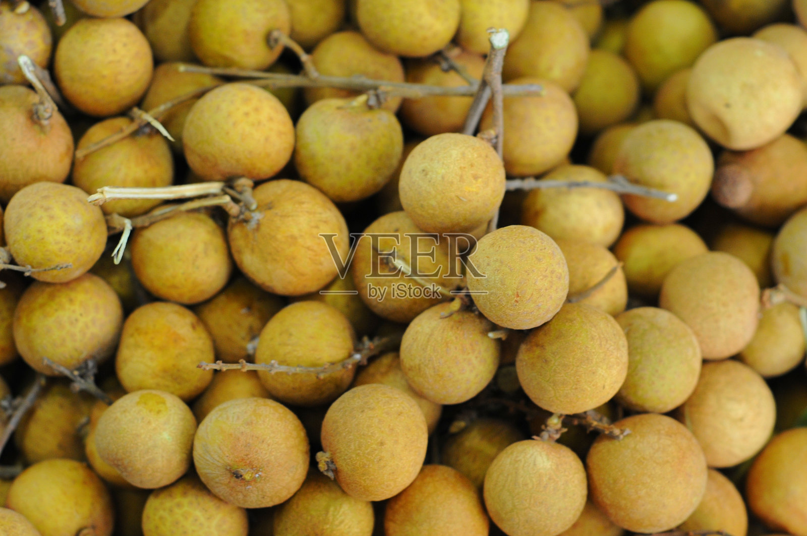 花芽龙眼照片摄影图片