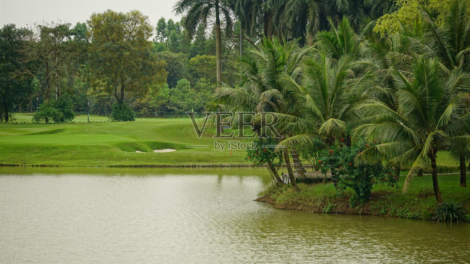 这个大湖被茂密的树木环绕着照片摄影图片