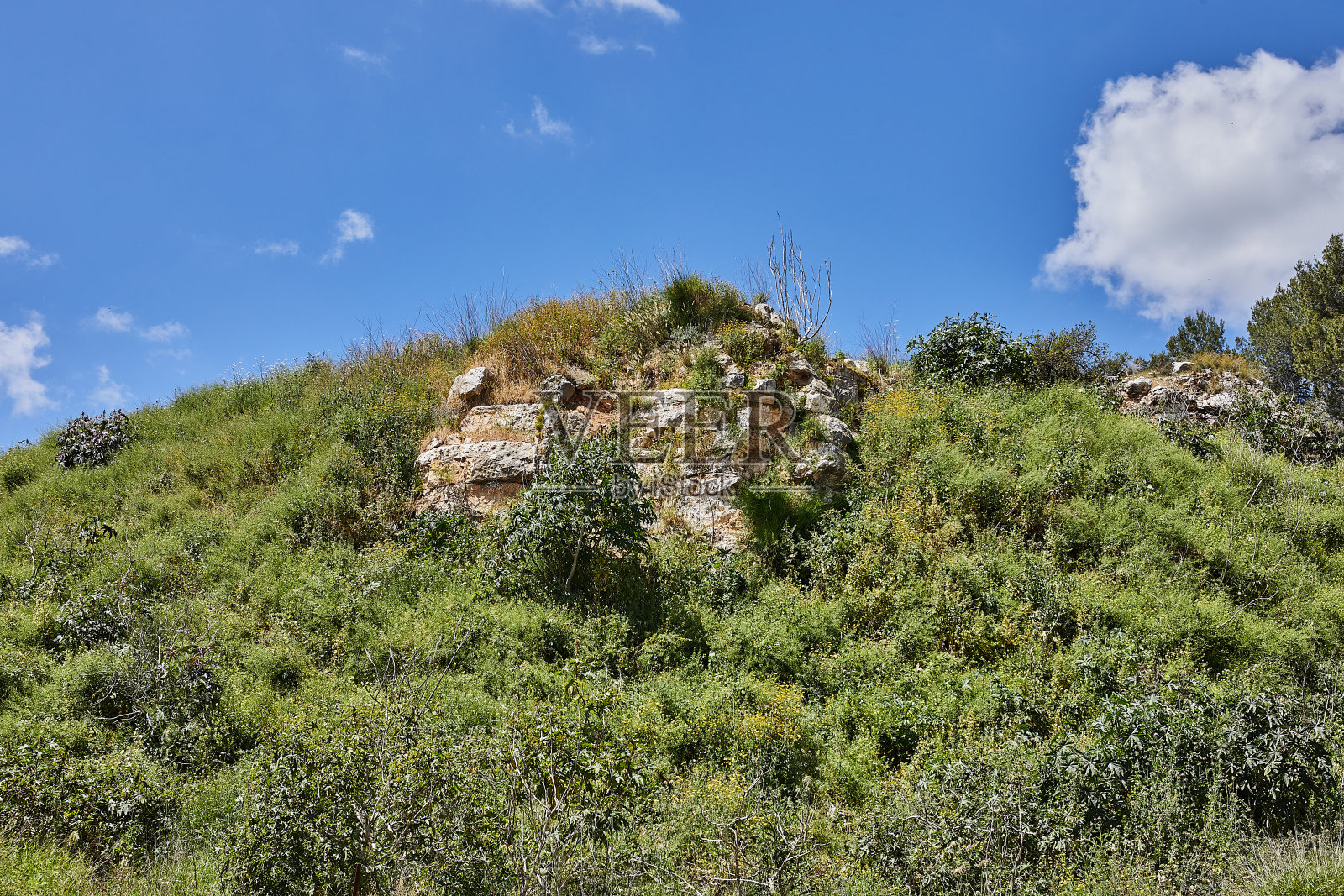 蓝天下散布着蓬松白云的广阔草地照片摄影图片