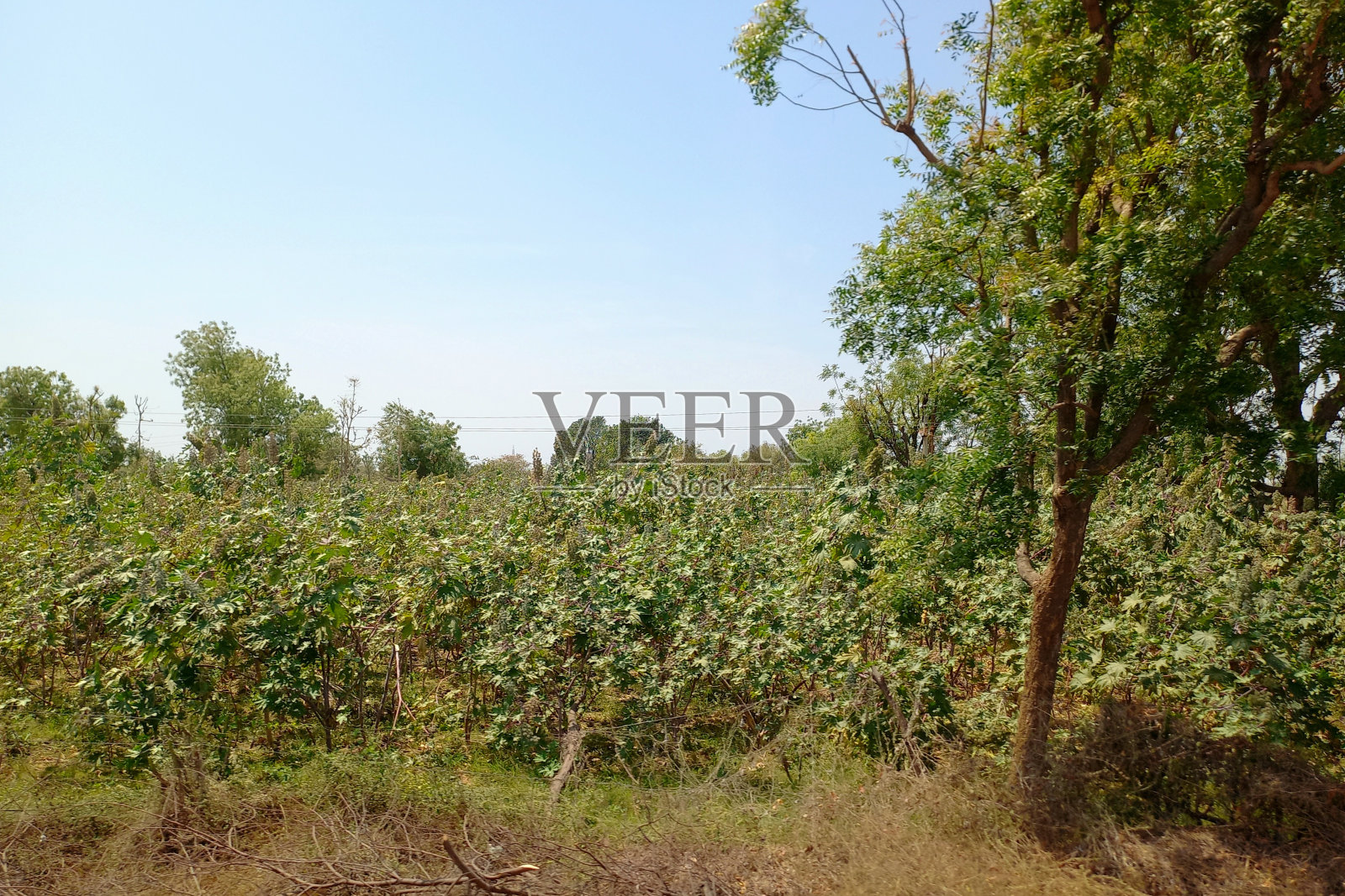 4月24日公路旅行B照片摄影图片