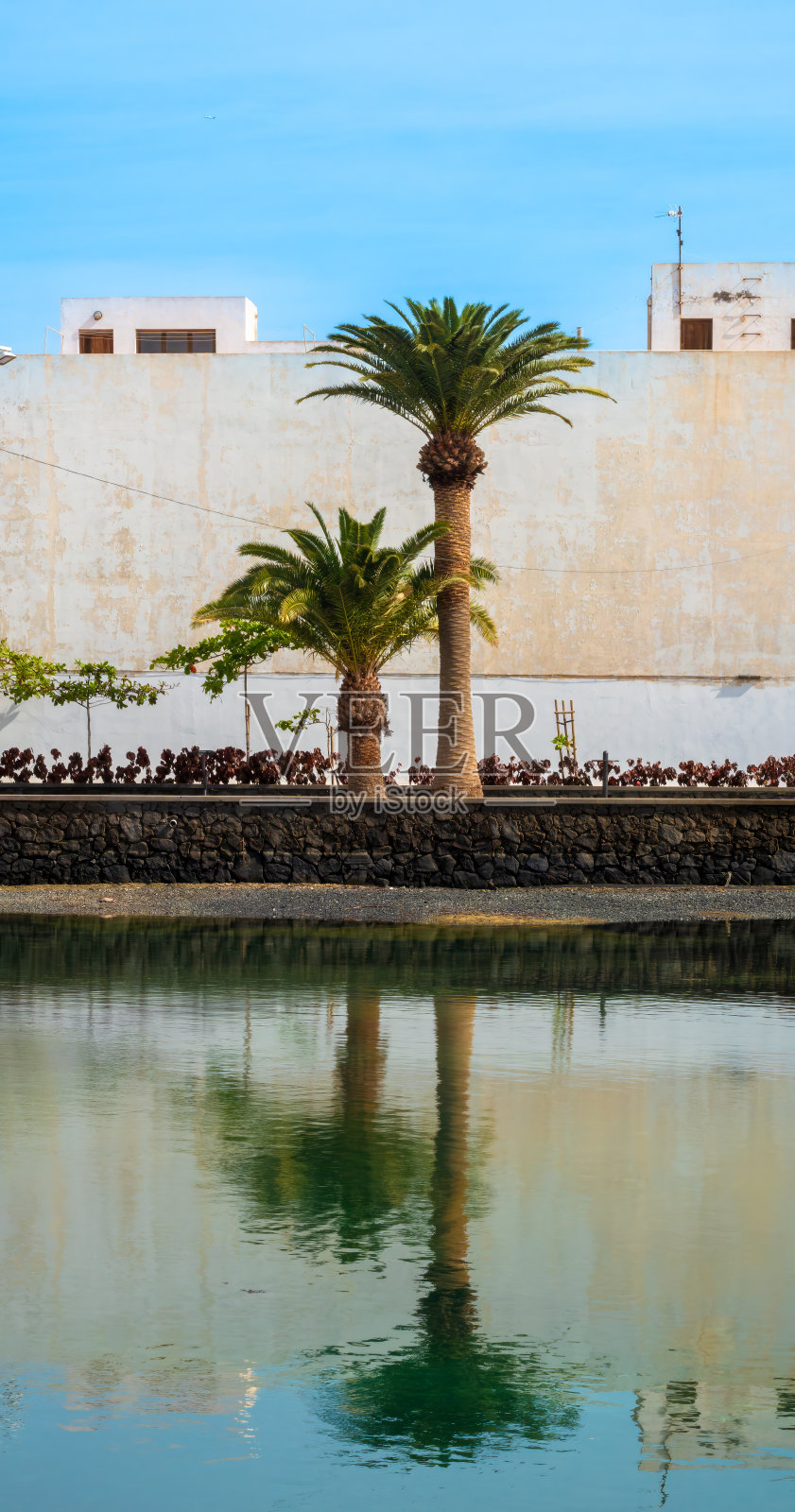 西班牙加那利群岛兰萨罗特岛的阿雷西费岛,渔民的家,启发了海明威的《老人与海》,棕榈树反射在Charco de San Ginés照片摄影图片