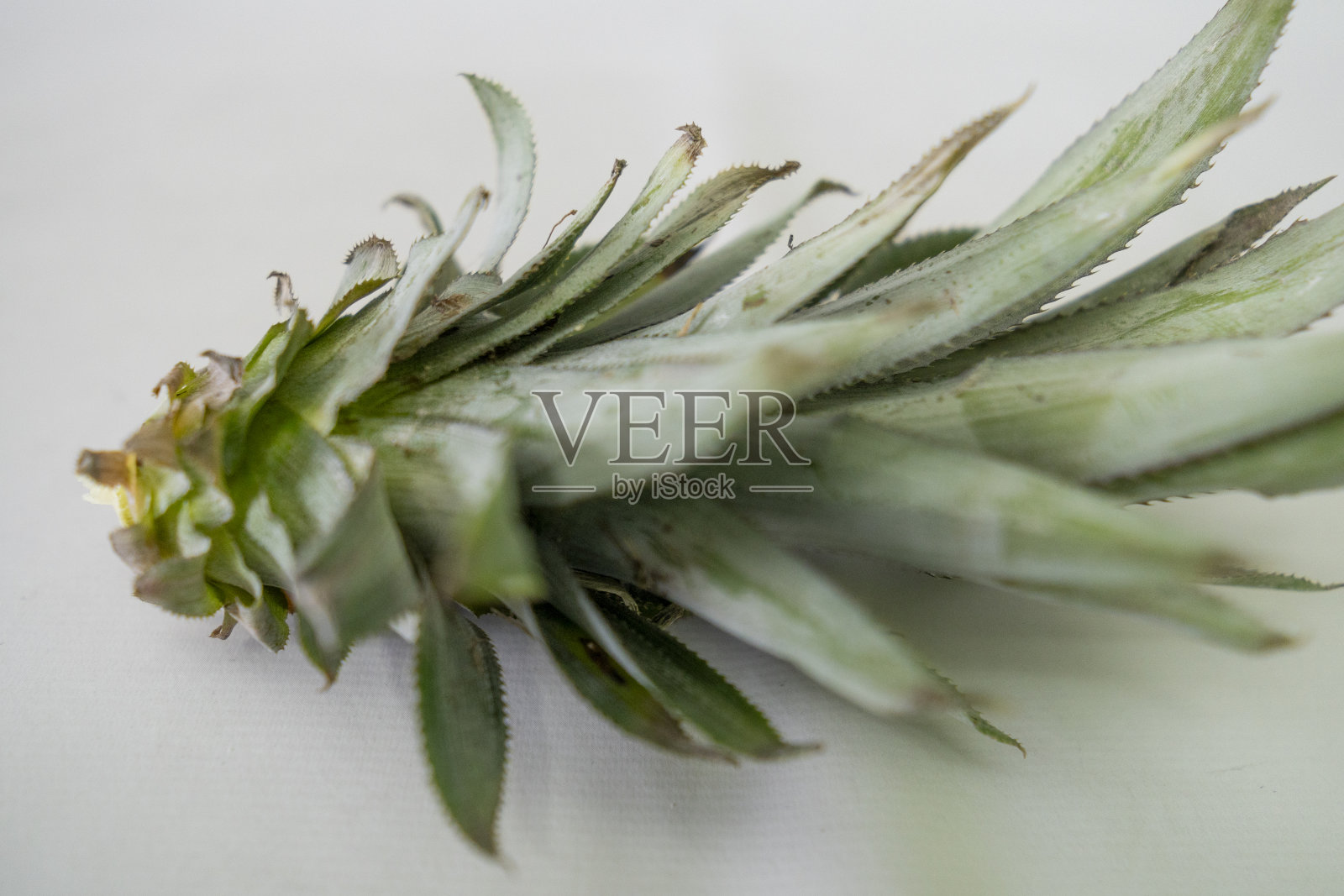 菠萝是巴西最受欢迎的热带水果之一照片摄影图片