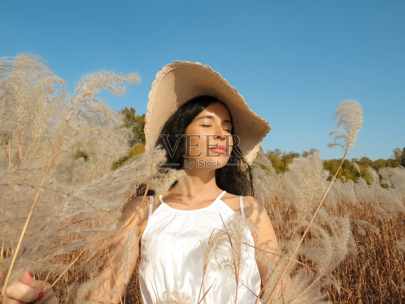 迷人的年轻女子,长发在金色的秋草丛中照片摄影图片