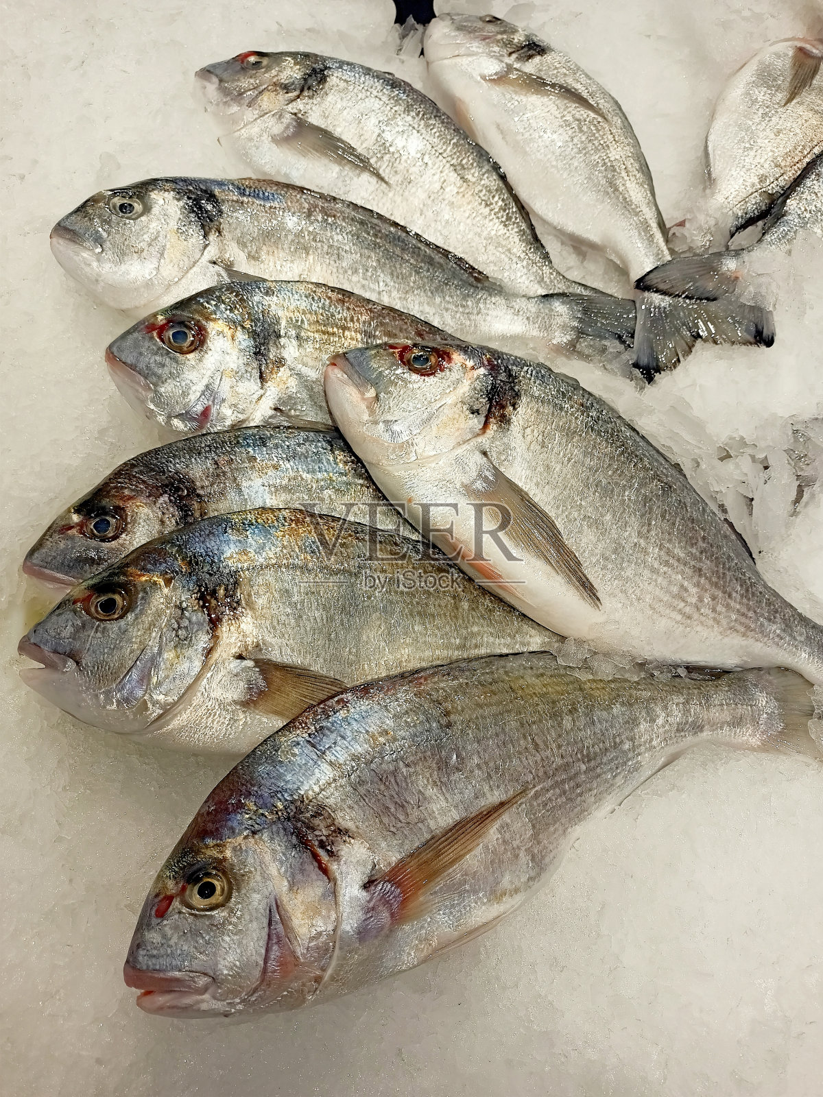 街市摊位上的海鲷鱼照片摄影图片