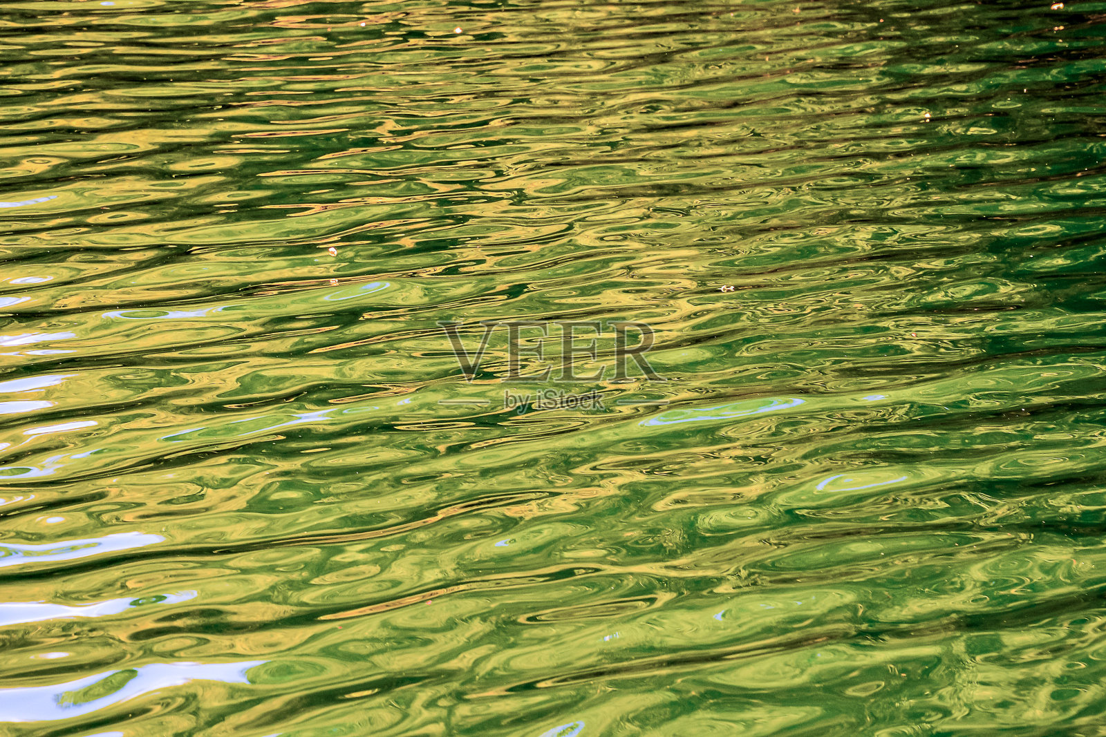 水纹纹理照片摄影图片