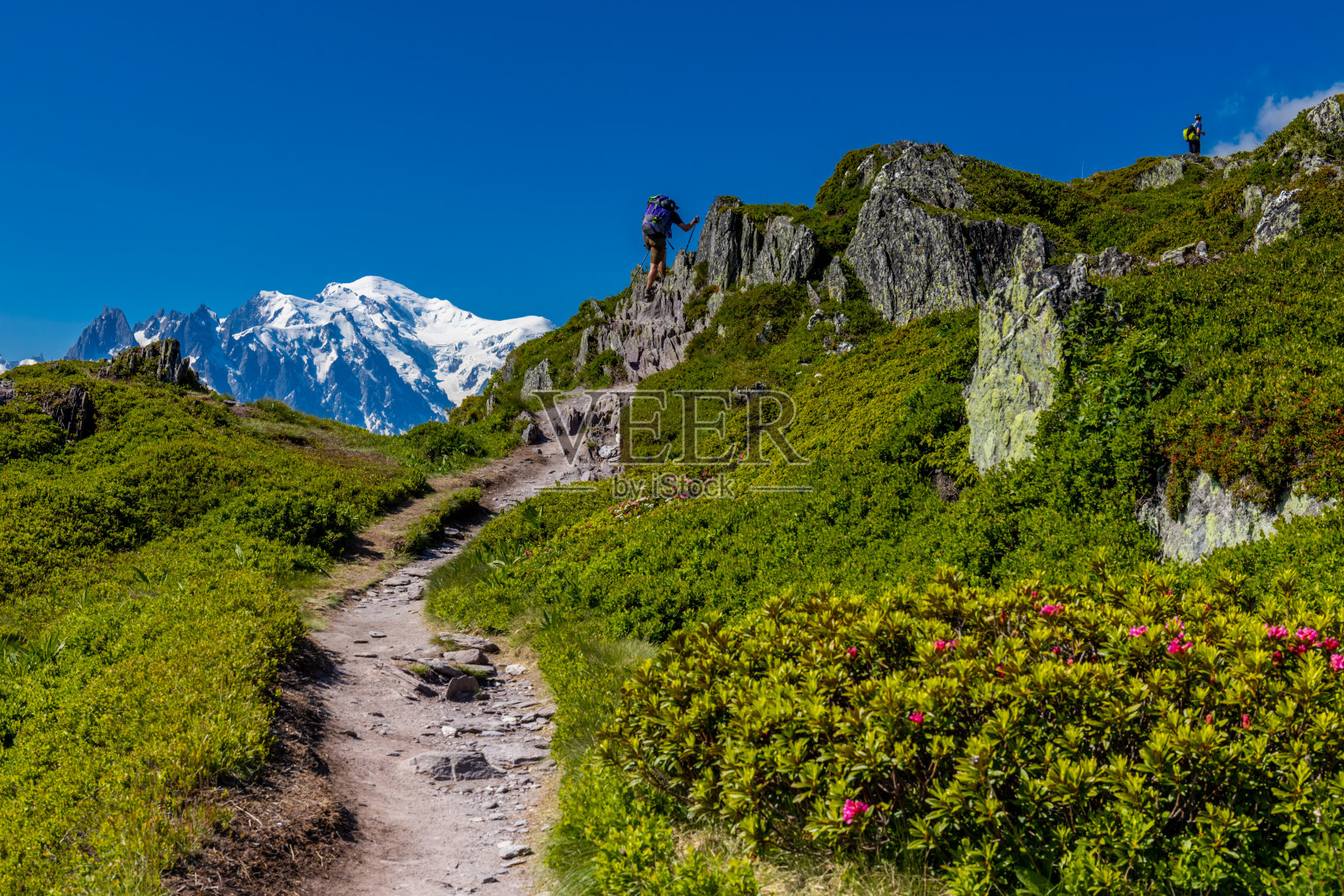 阿尔卑斯山位于夏蒙尼山谷。Tour du Montblanc风景,TMB徒步路线法国阿尔卑斯山风景照片摄影图片