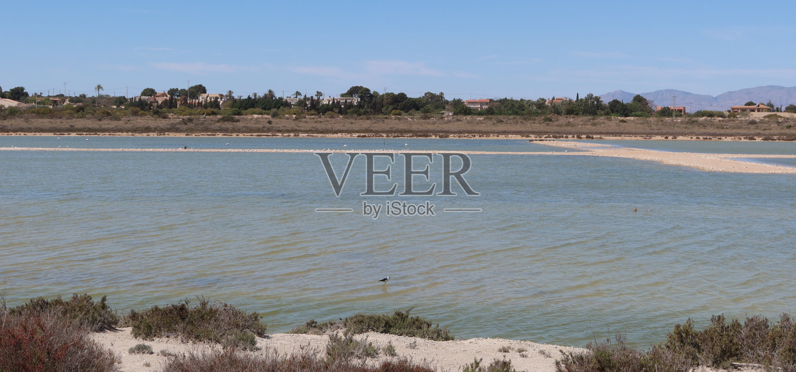 西班牙阿利坎特,La Marina, Salinas del Pinet(创意)照片摄影图片