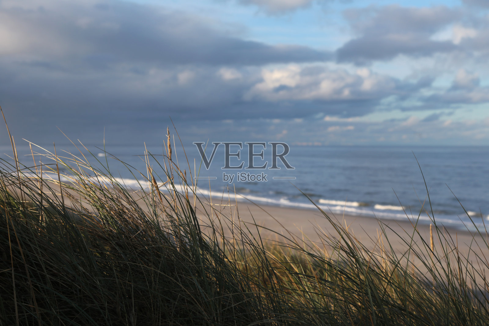 Sylt岛照片摄影图片