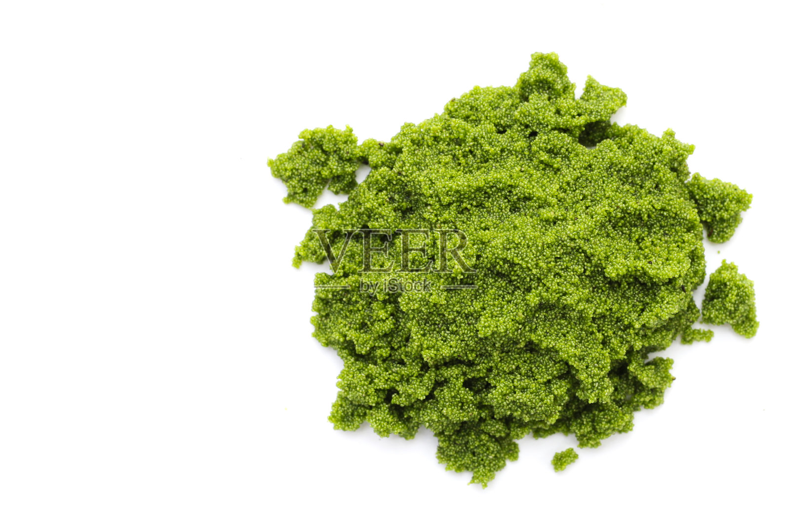 Wolffia globosa或沼泽藻,水粉照片摄影图片