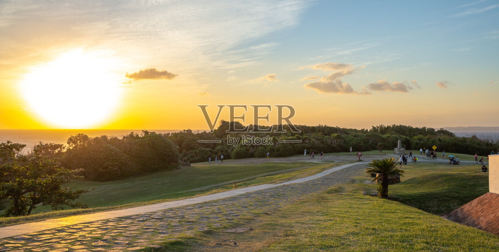台湾易鸾壁角,夕阳下的草坪和海边的灌木丛照片摄影图片