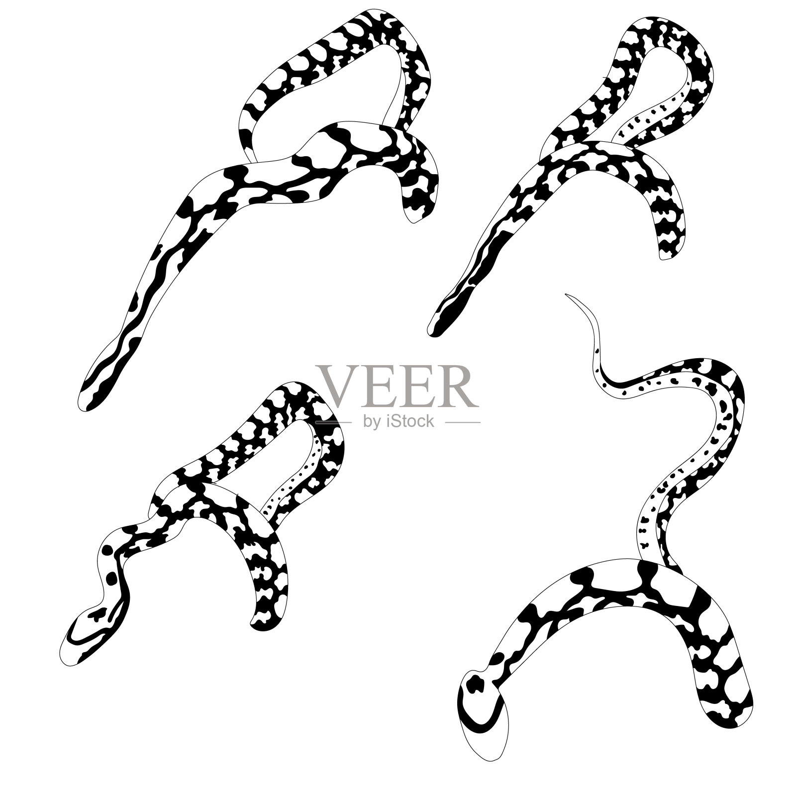 白色背景上的玉米蛇插画图片素材