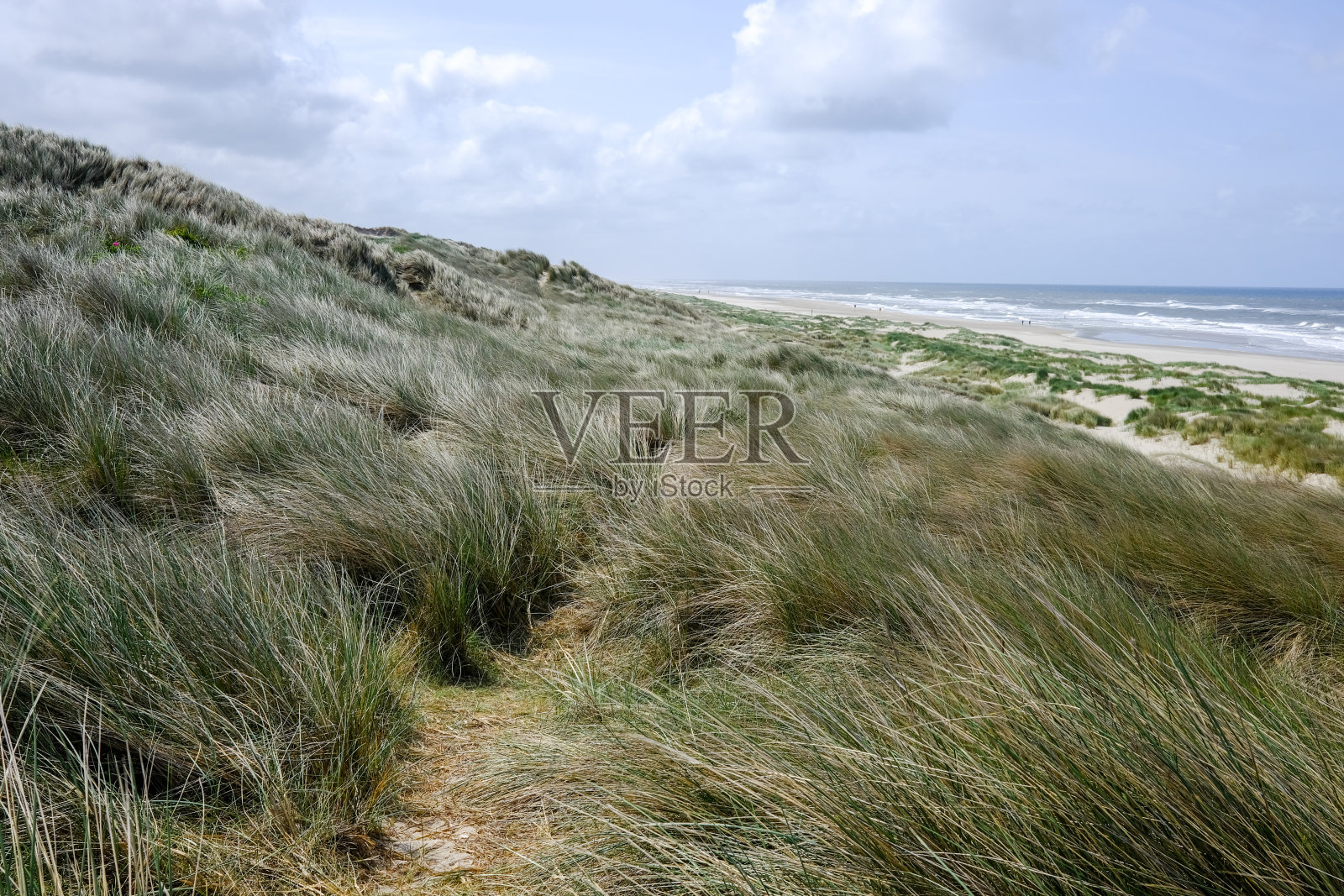 沙丘、草地和寂寞的路照片摄影图片