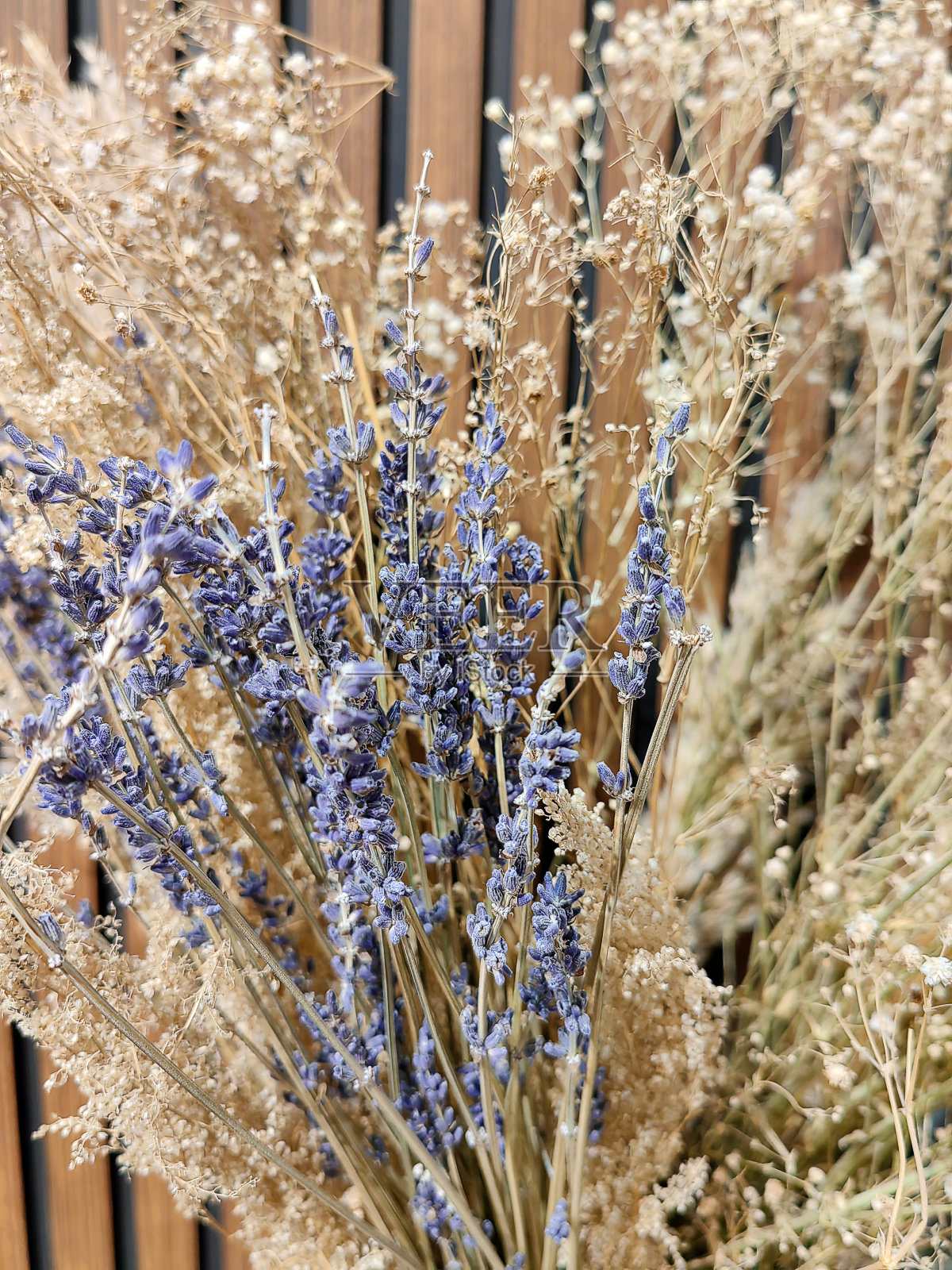 脱水装饰的彩色花束。照片摄影图片