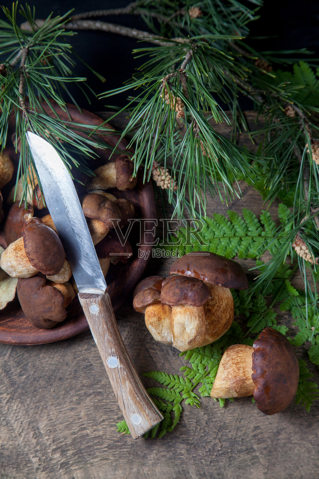 黑弧菌或黑弧菌蘑菇俗称海湾波勒特,粘土碗与蘑菇和刀在复古木制背景。照片摄影图片