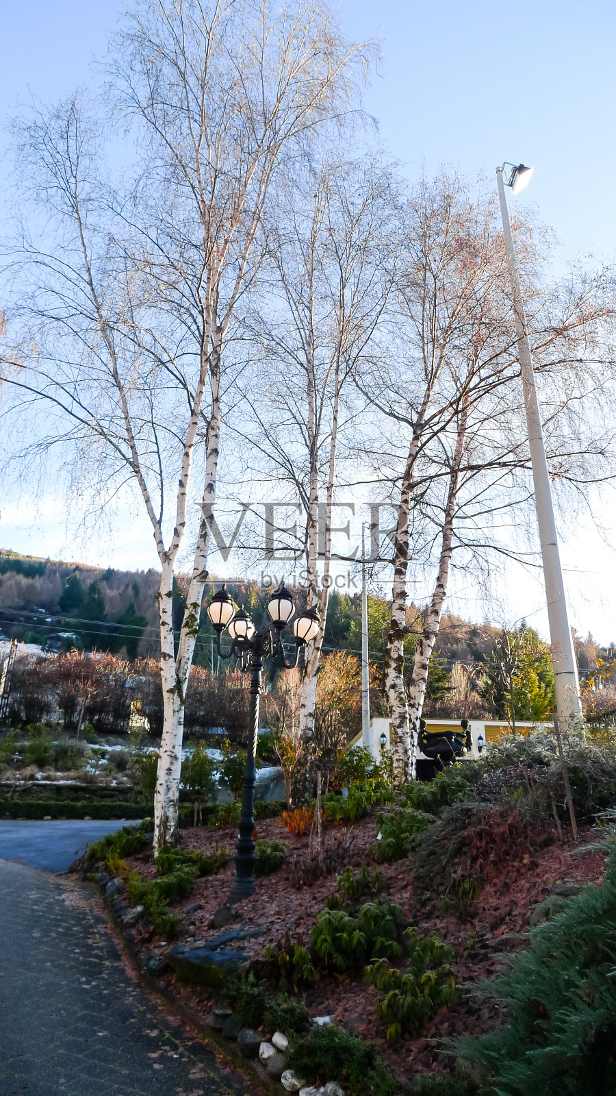 在一个晴朗的日子里,新西兰南部一处房产的华丽入口以桦树和一些铁灯为特色照片摄影图片