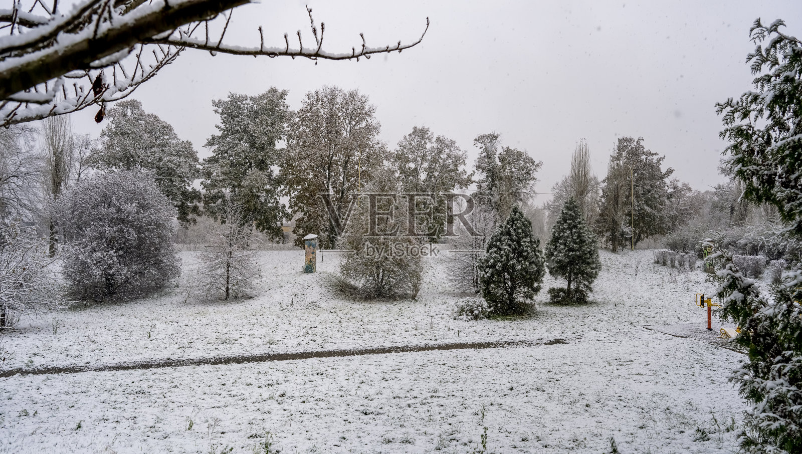 公园里被雪覆盖的树木,冬天的景色。照片摄影图片