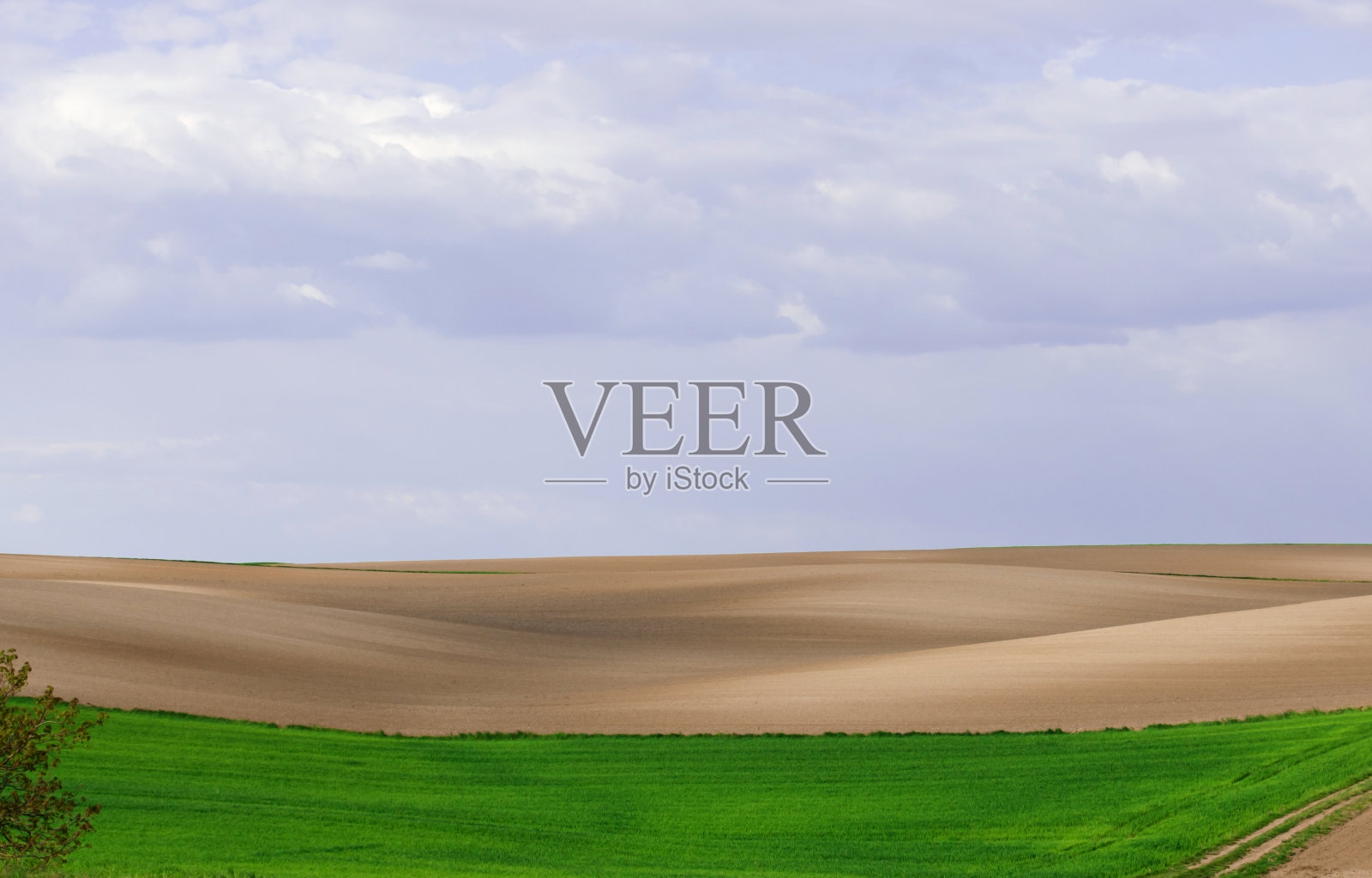 蓝天背景下美丽的农田景观。在山上的田野上有光滑的条纹。绿色的麦田。农业。照片摄影图片