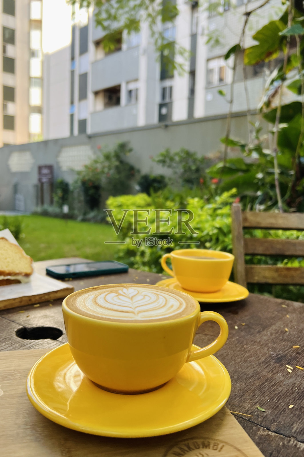 戴着黄色杯子的卷尾猴照片摄影图片