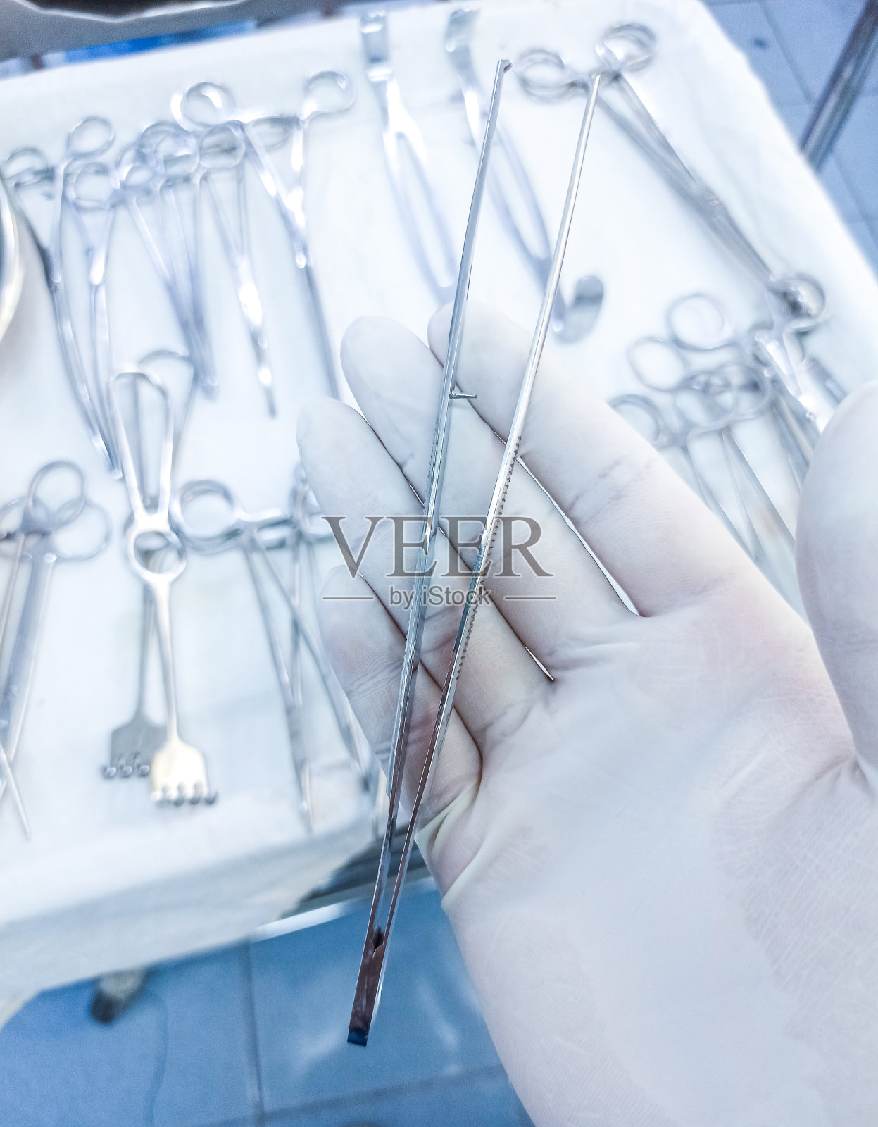 犬类外科手术照片摄影图片