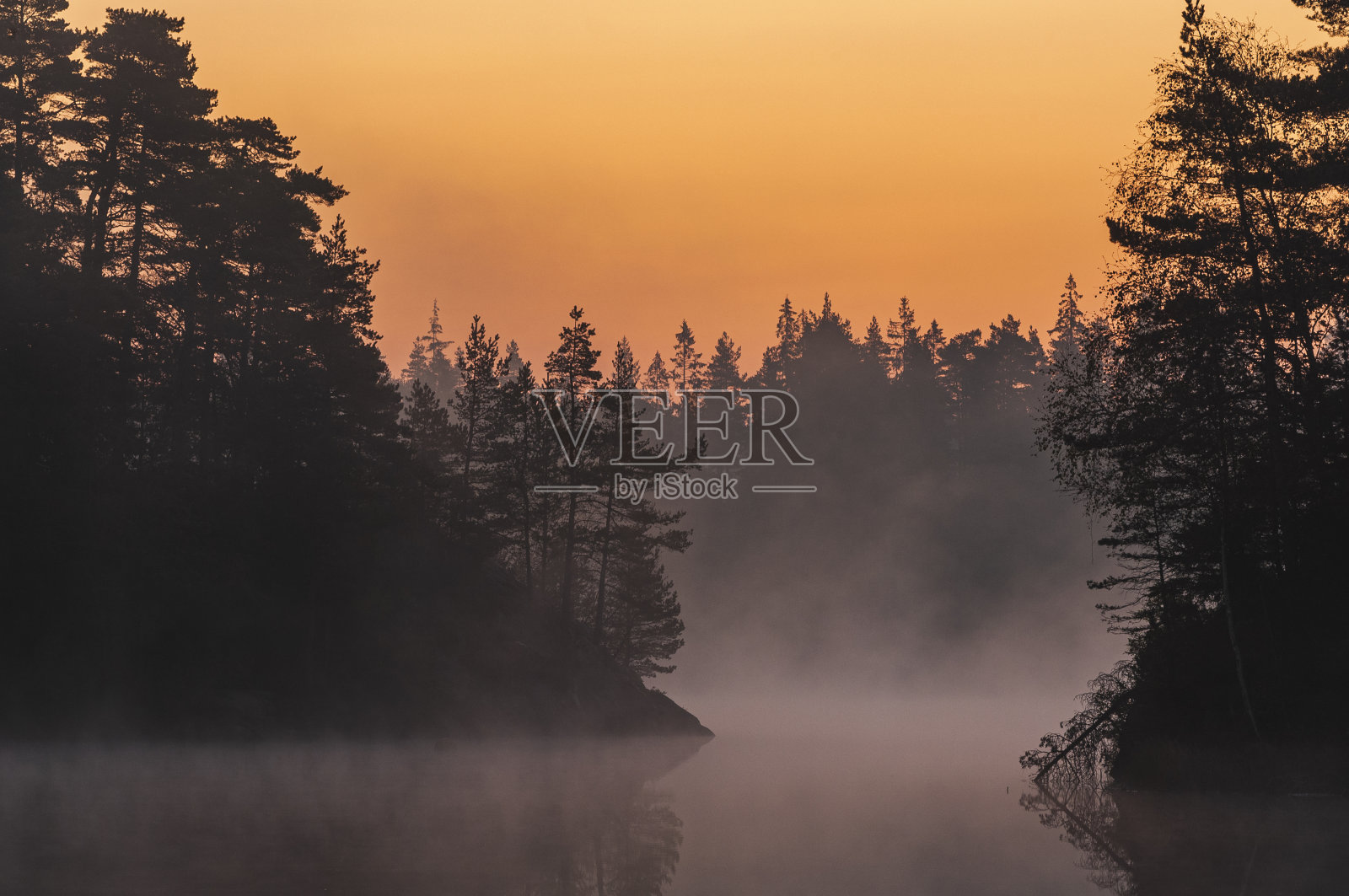 日出时的森林和雾蒙蒙的湖泊照片摄影图片