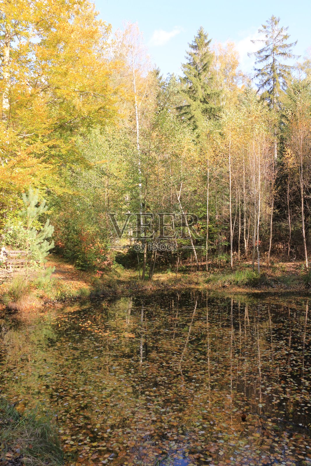 美丽的秋日,在瑞士撒克逊的霍恩斯坦附近照片摄影图片