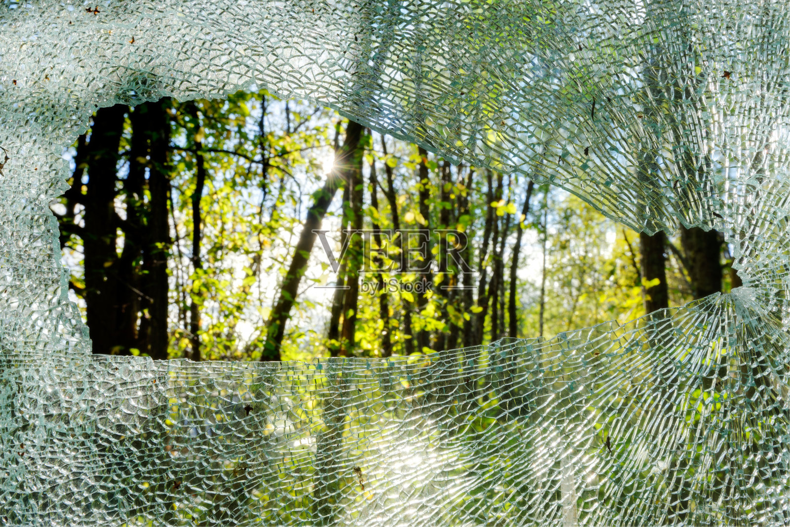 透过破碎的玻璃,阳光照耀着森林照片摄影图片
