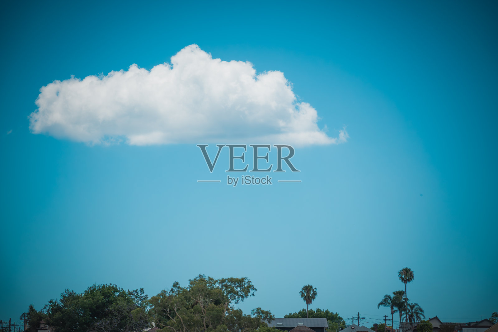 悉尼海湾长跑:沿途风景优美。照片摄影图片